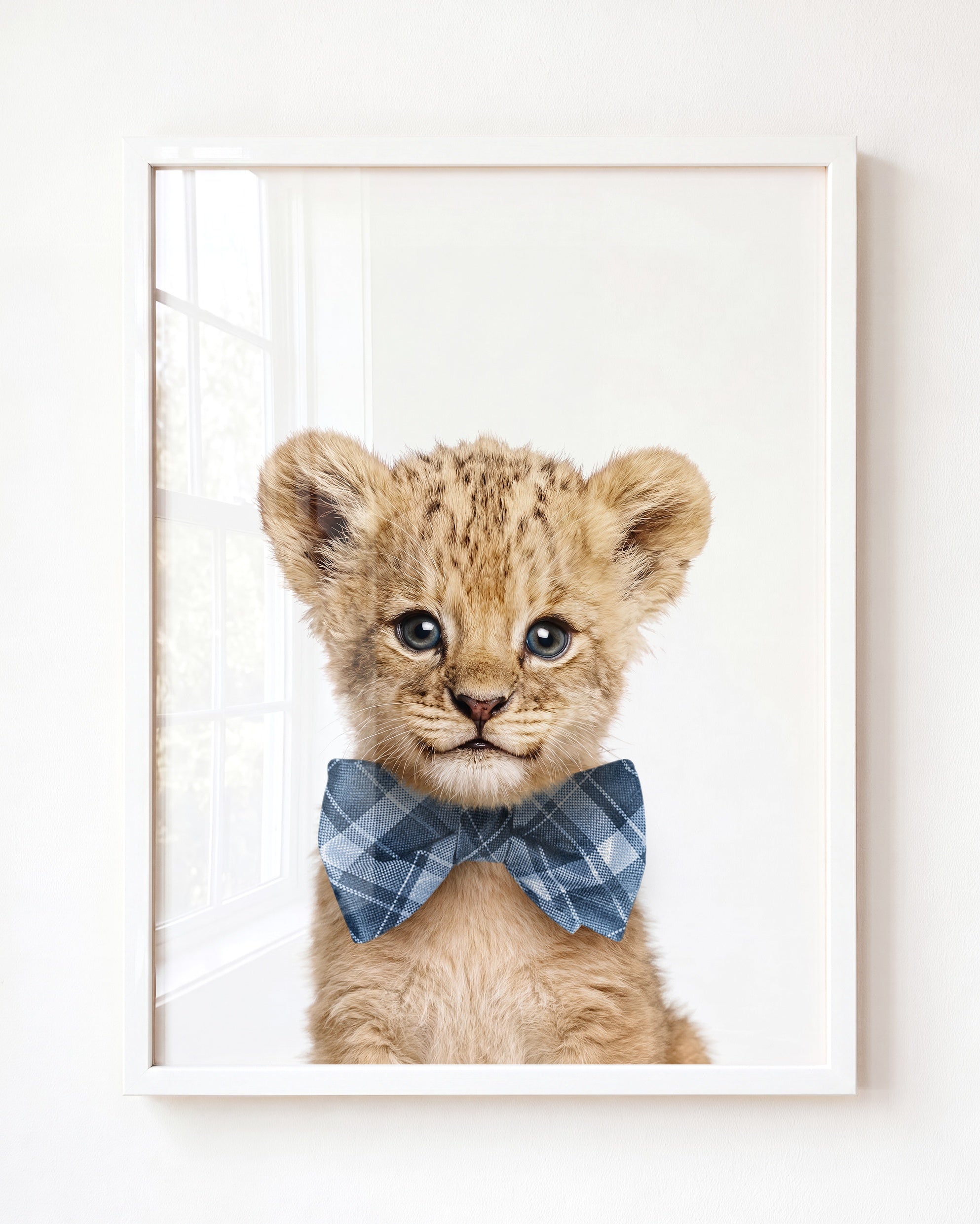 Baby Lion