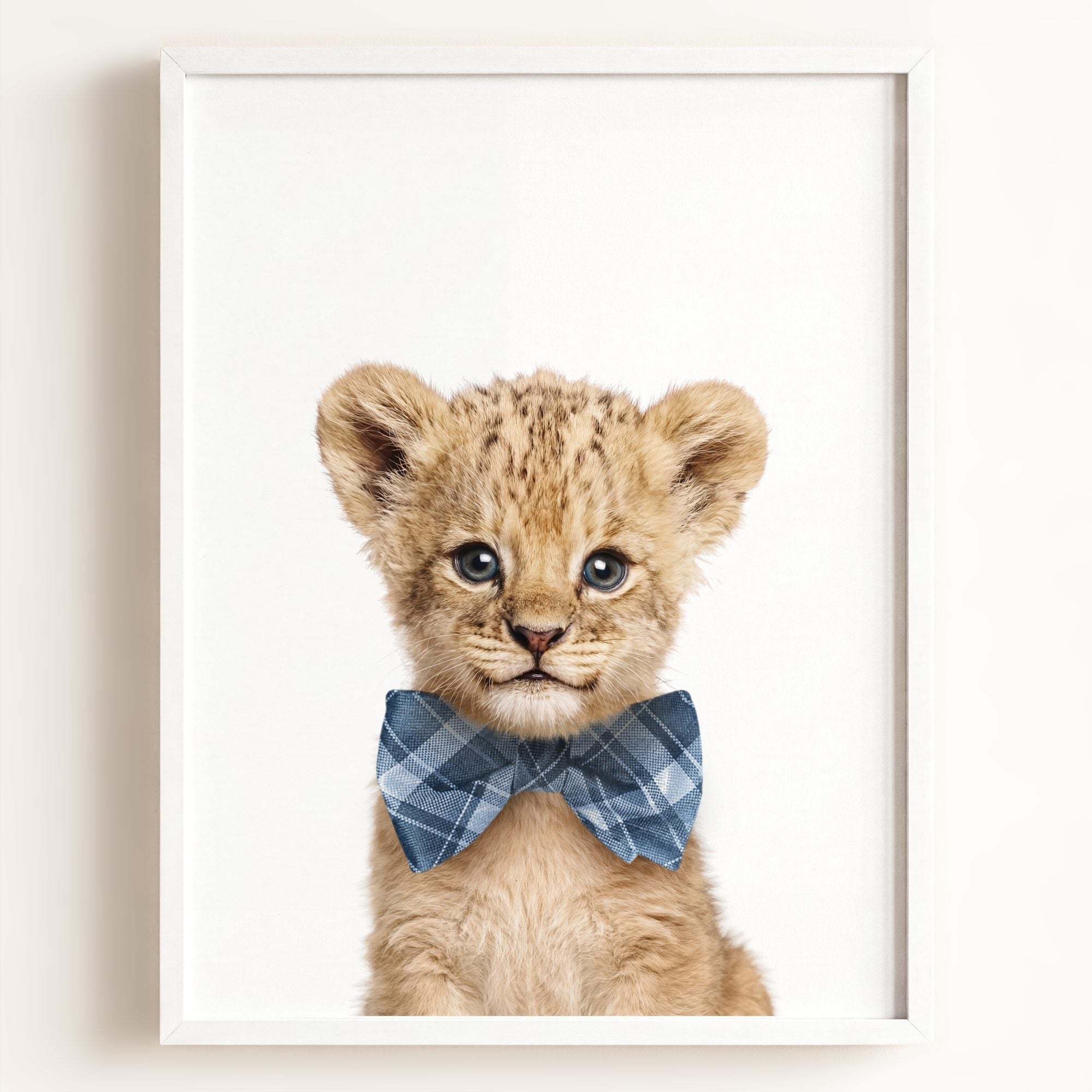 Baby Lion