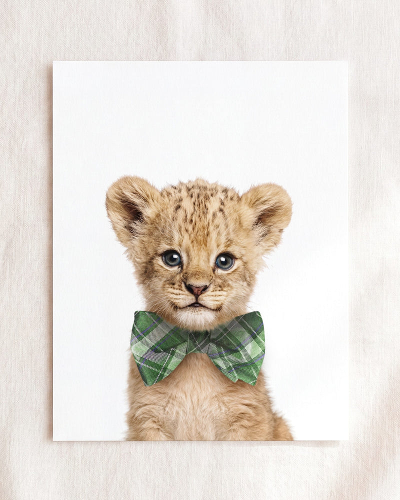 Bow Tie