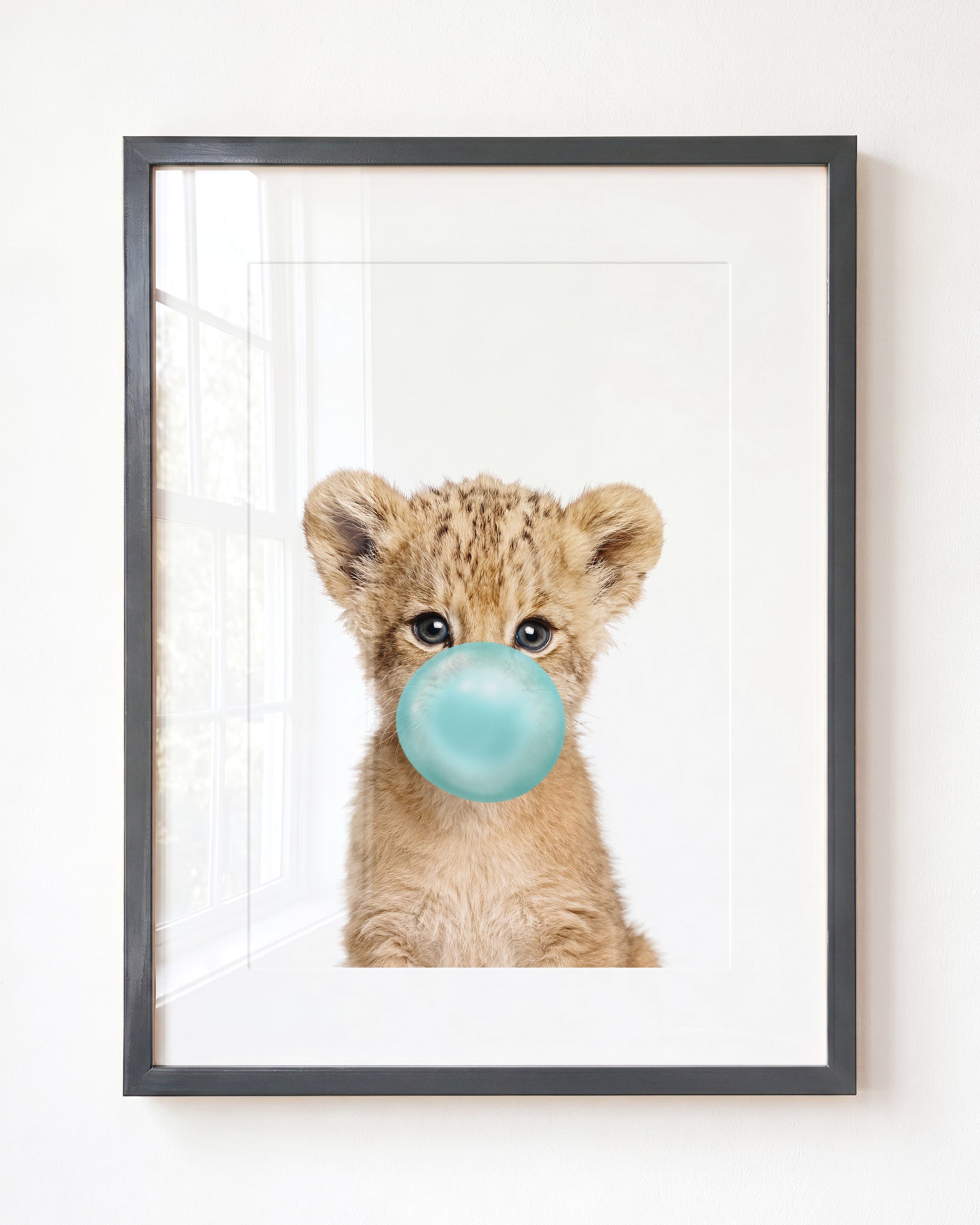 Baby Lion