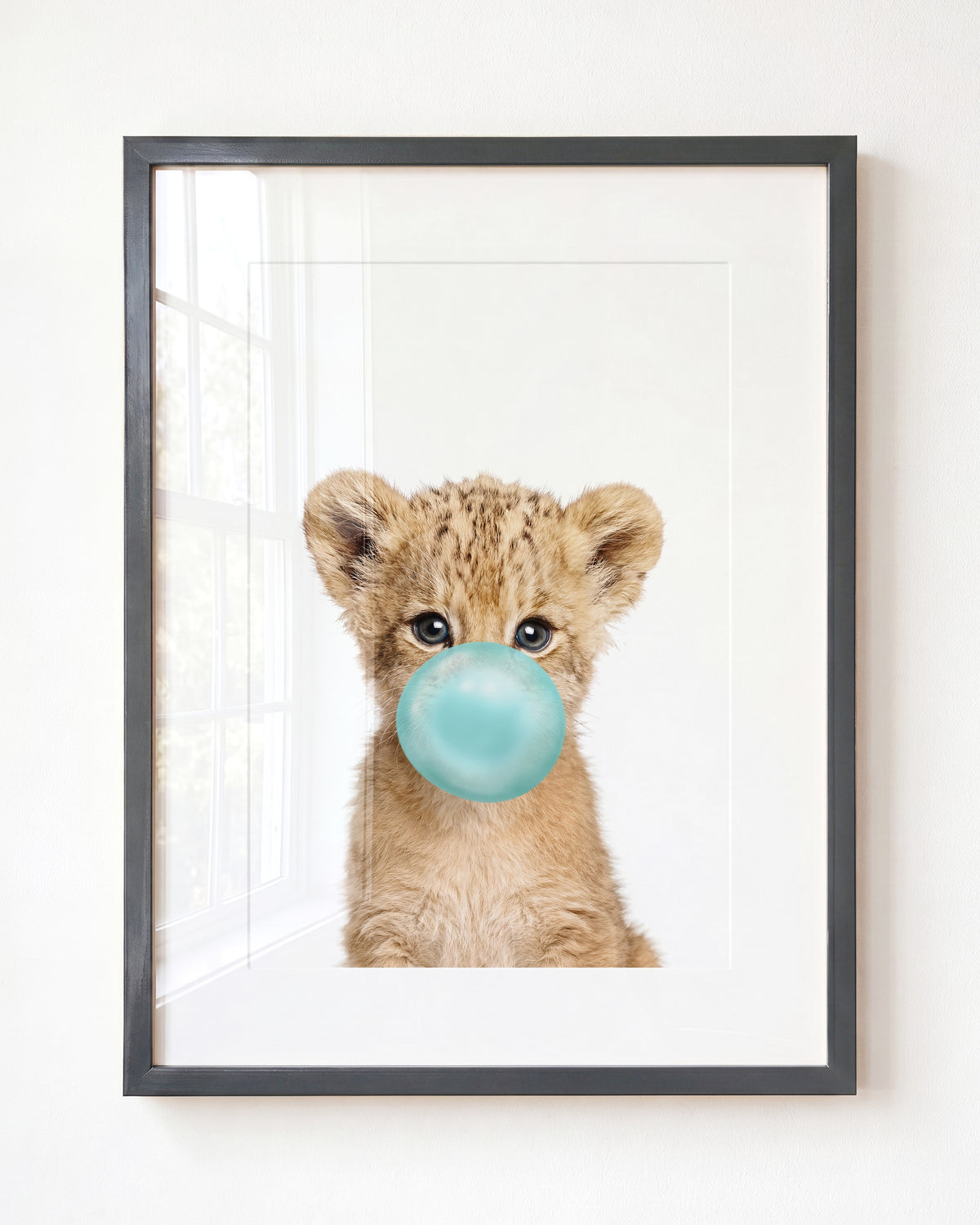 Baby Lion