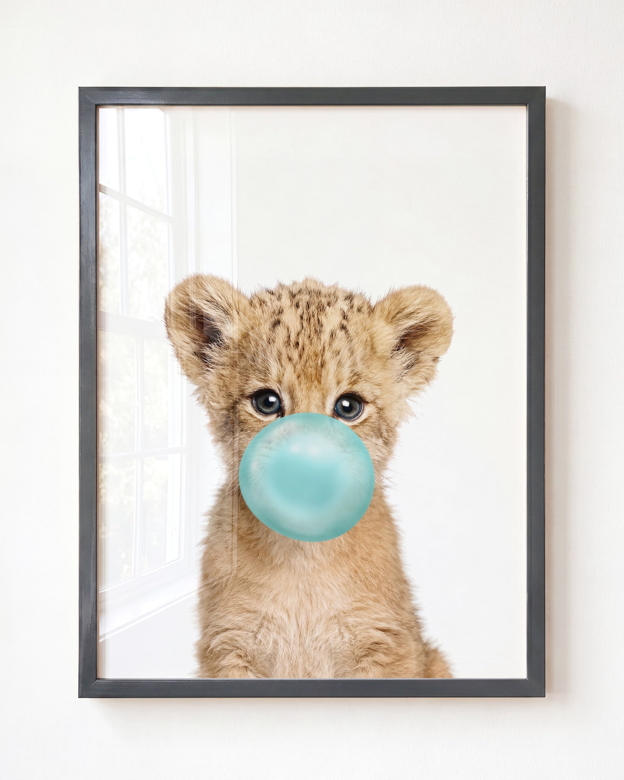 Baby Lion