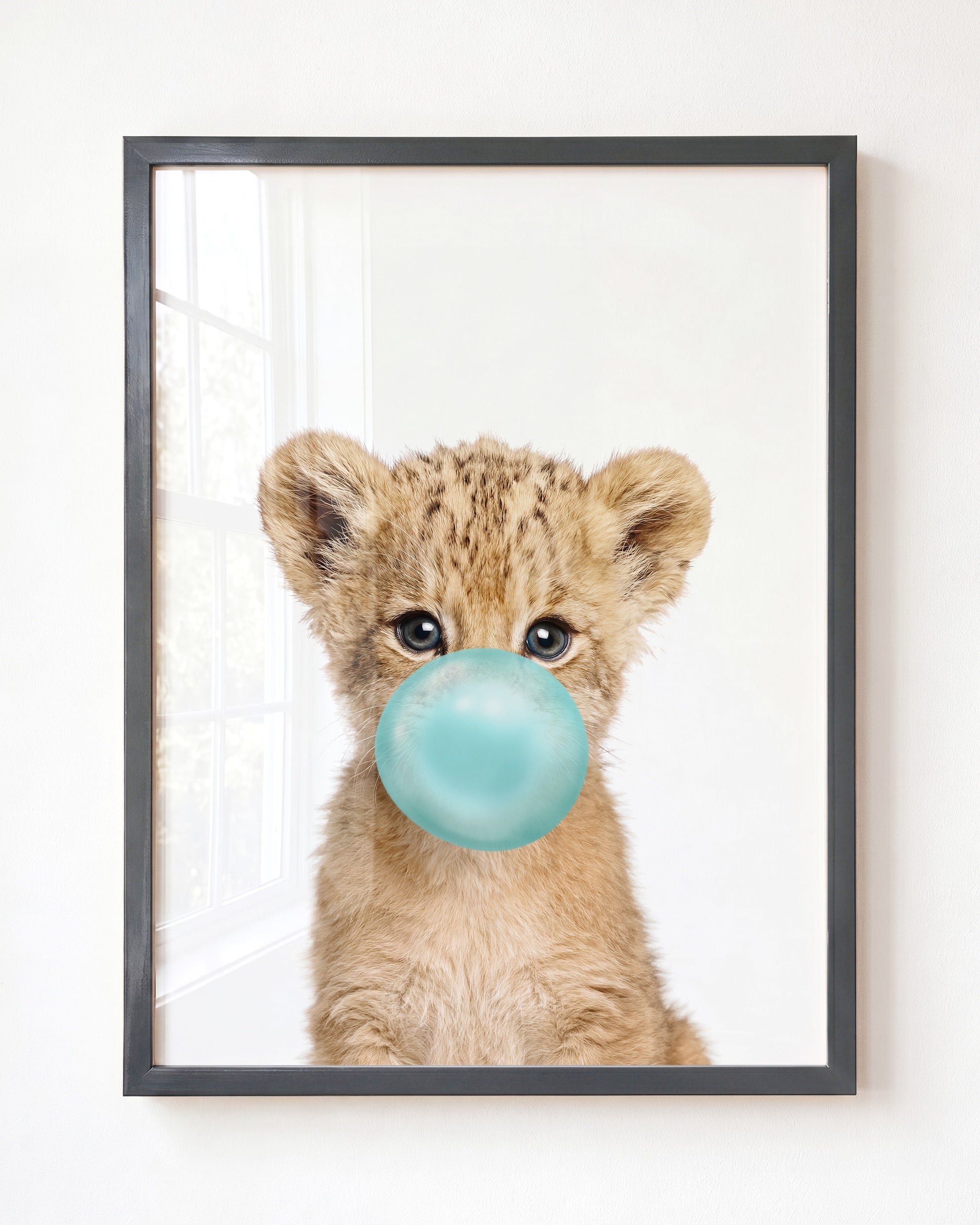 Baby Lion