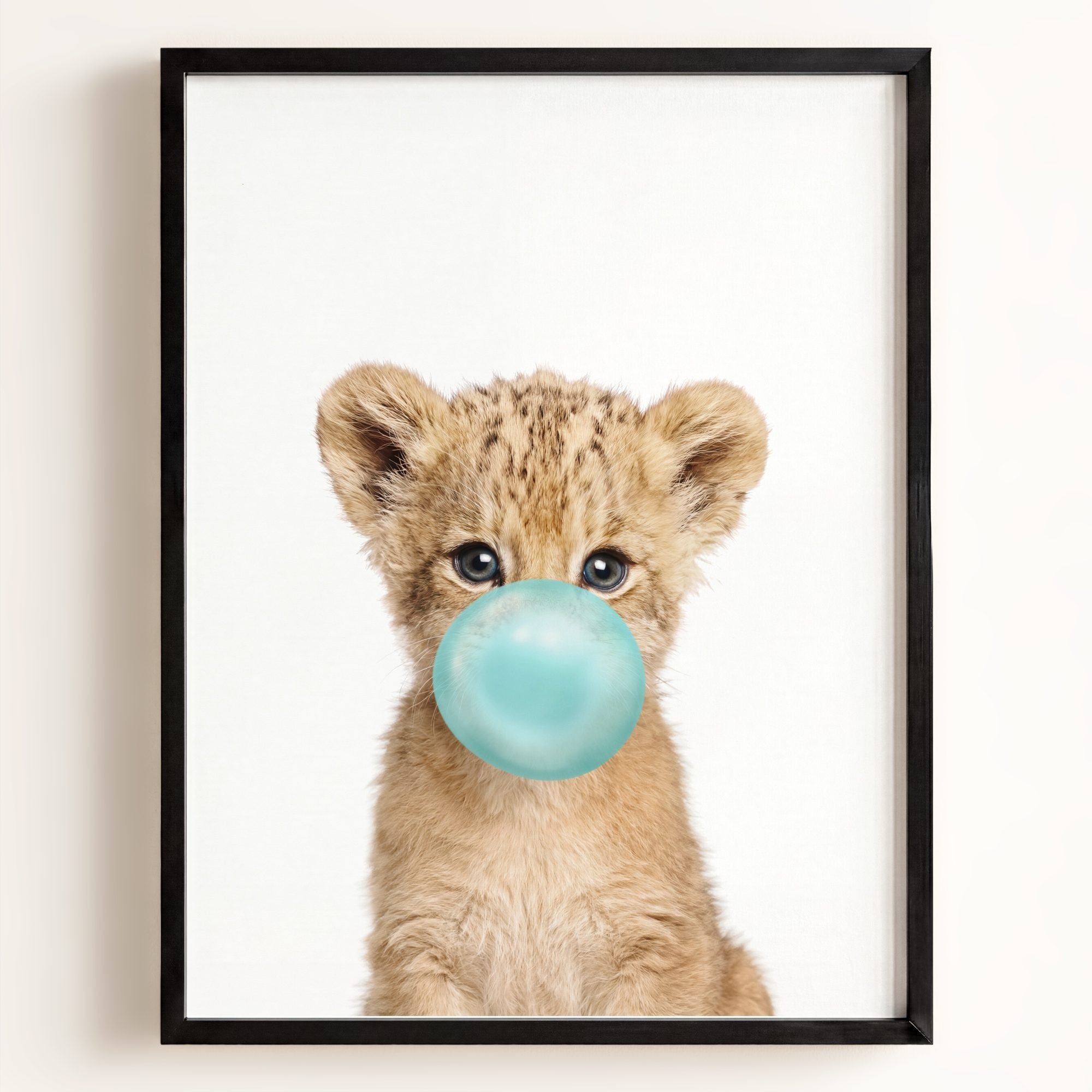 Baby Lion