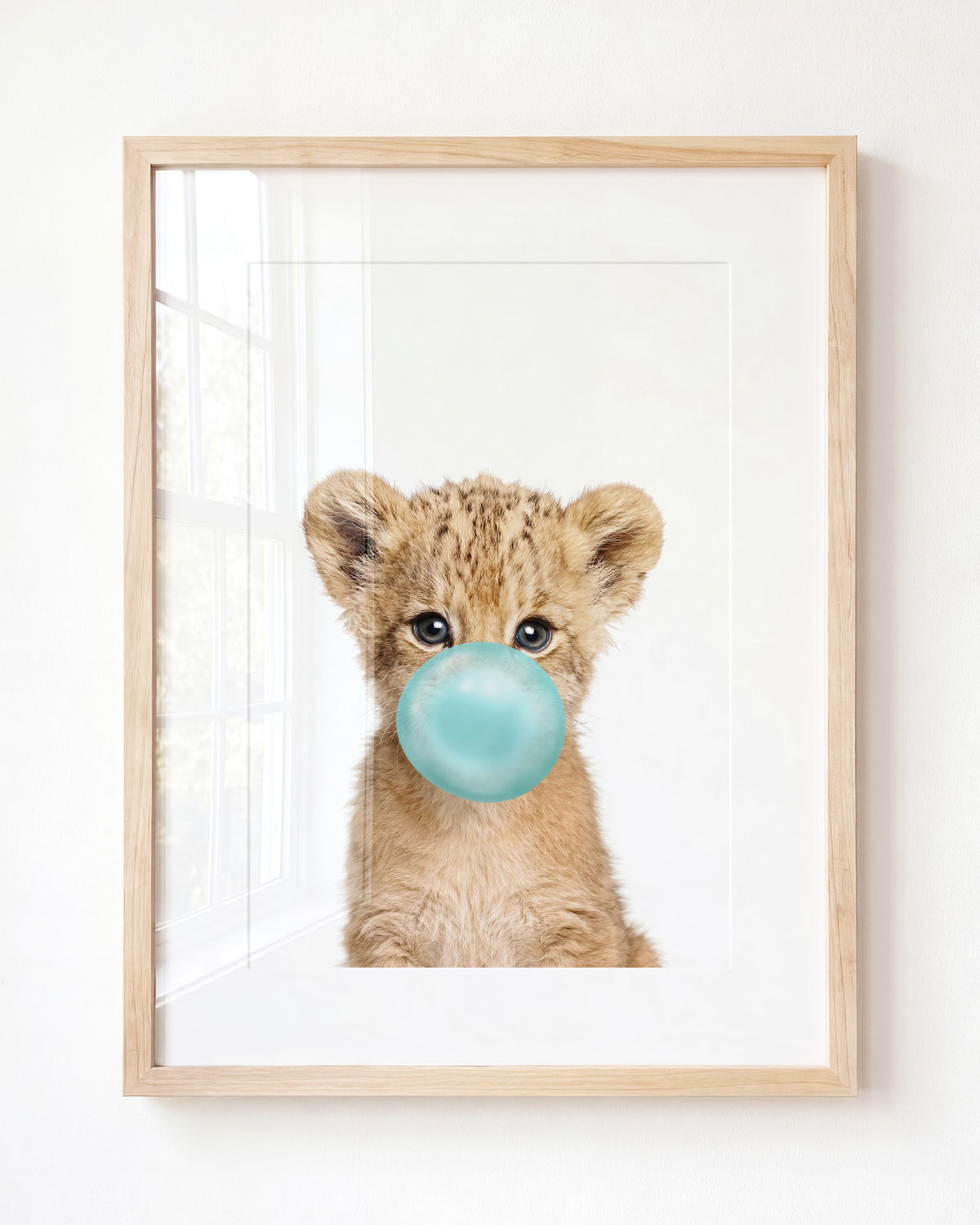Baby Lion