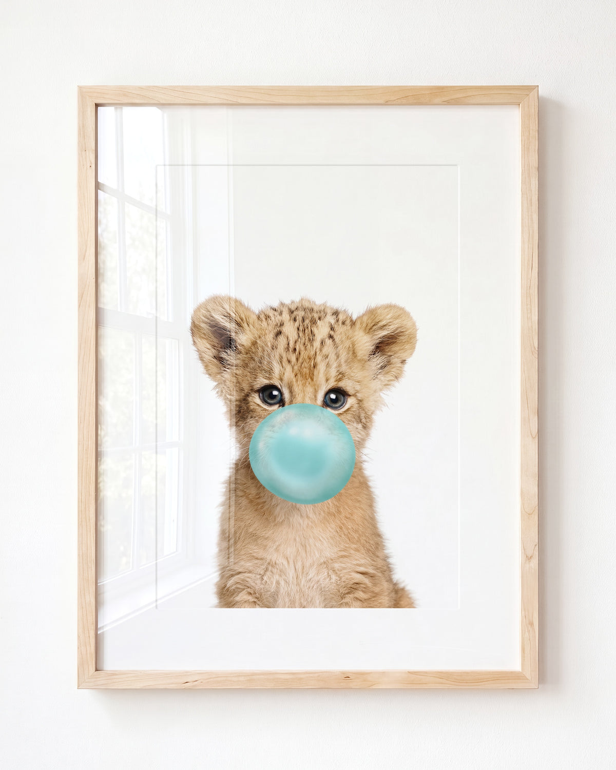 Baby Lion