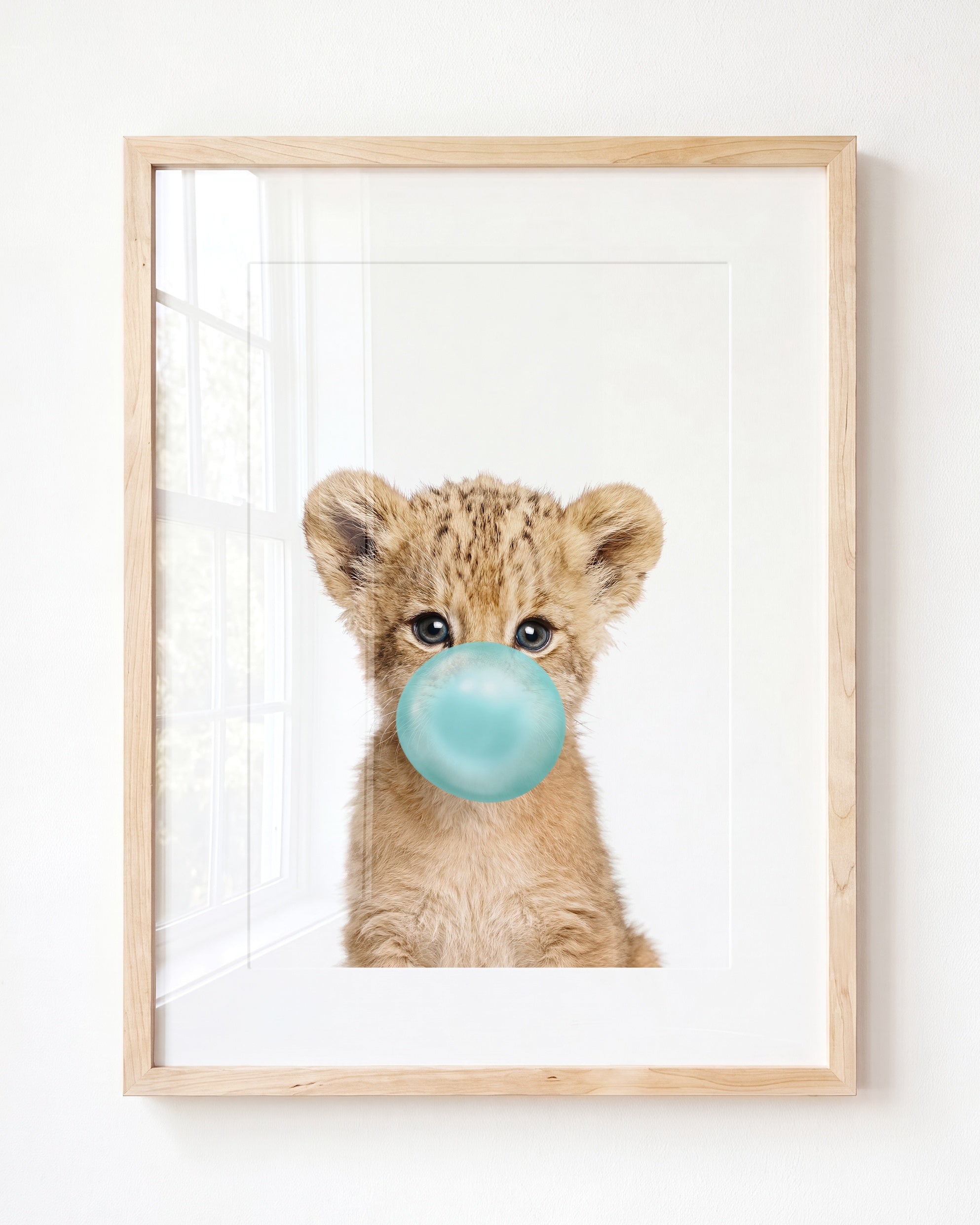 Baby Lion