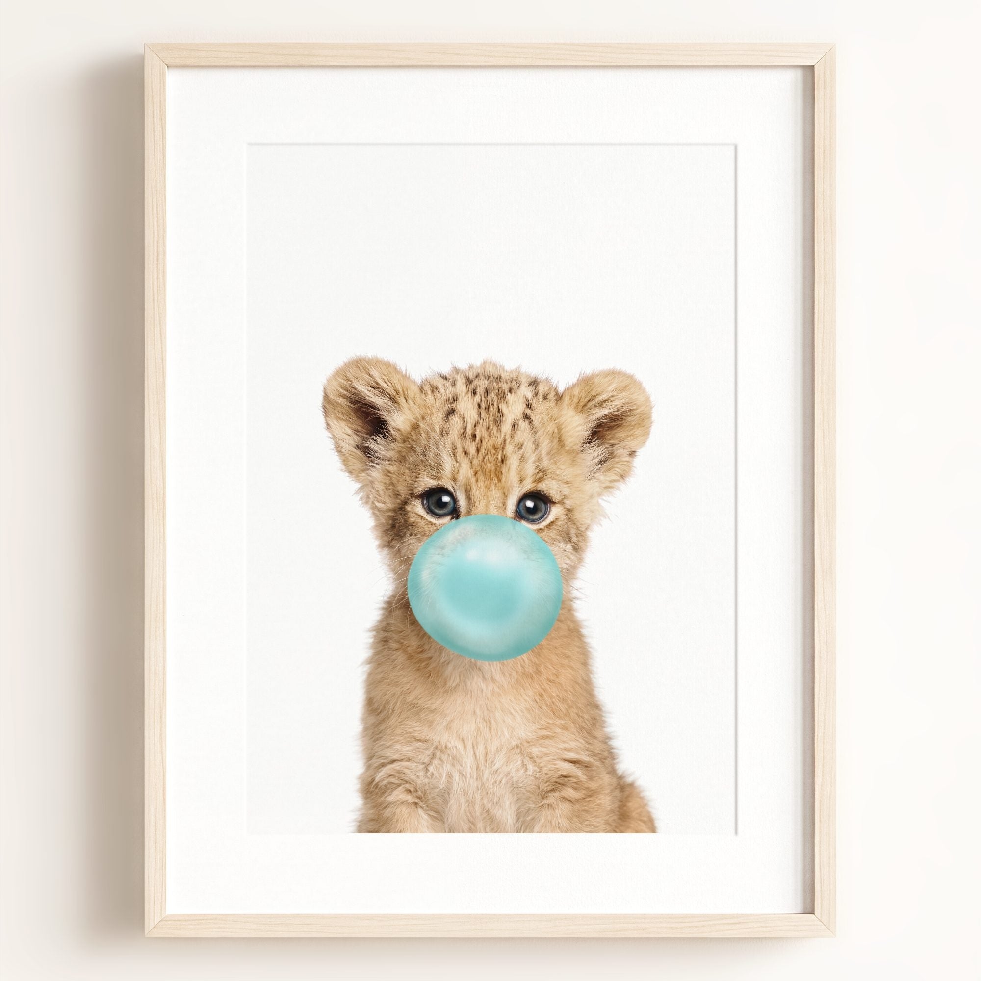 Baby Lion