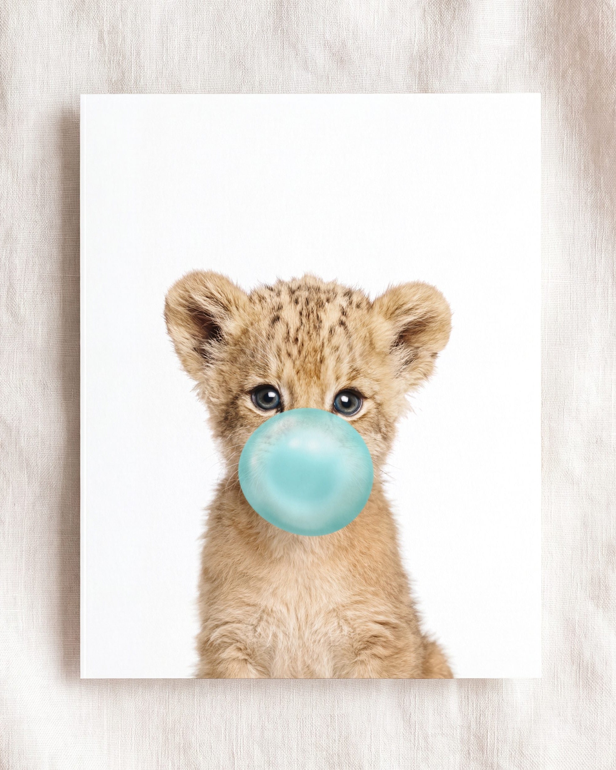 Baby Lion
