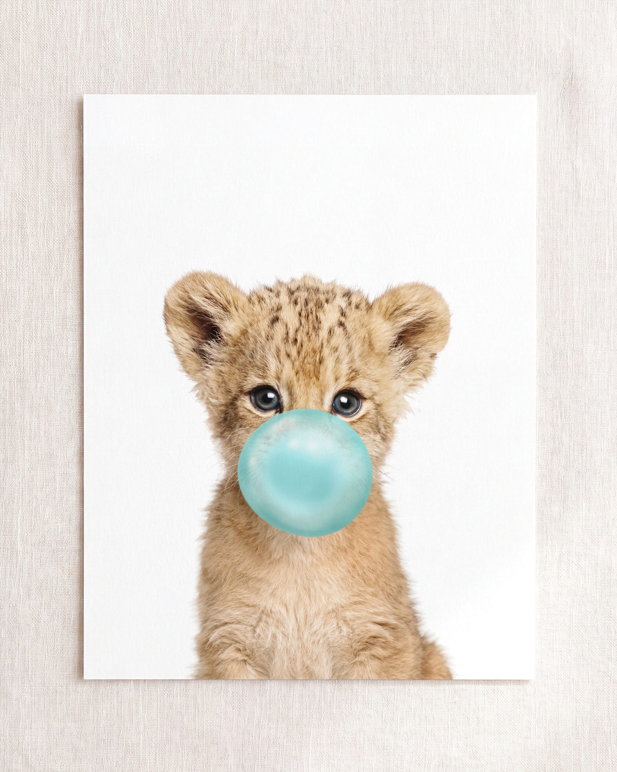Baby Lion