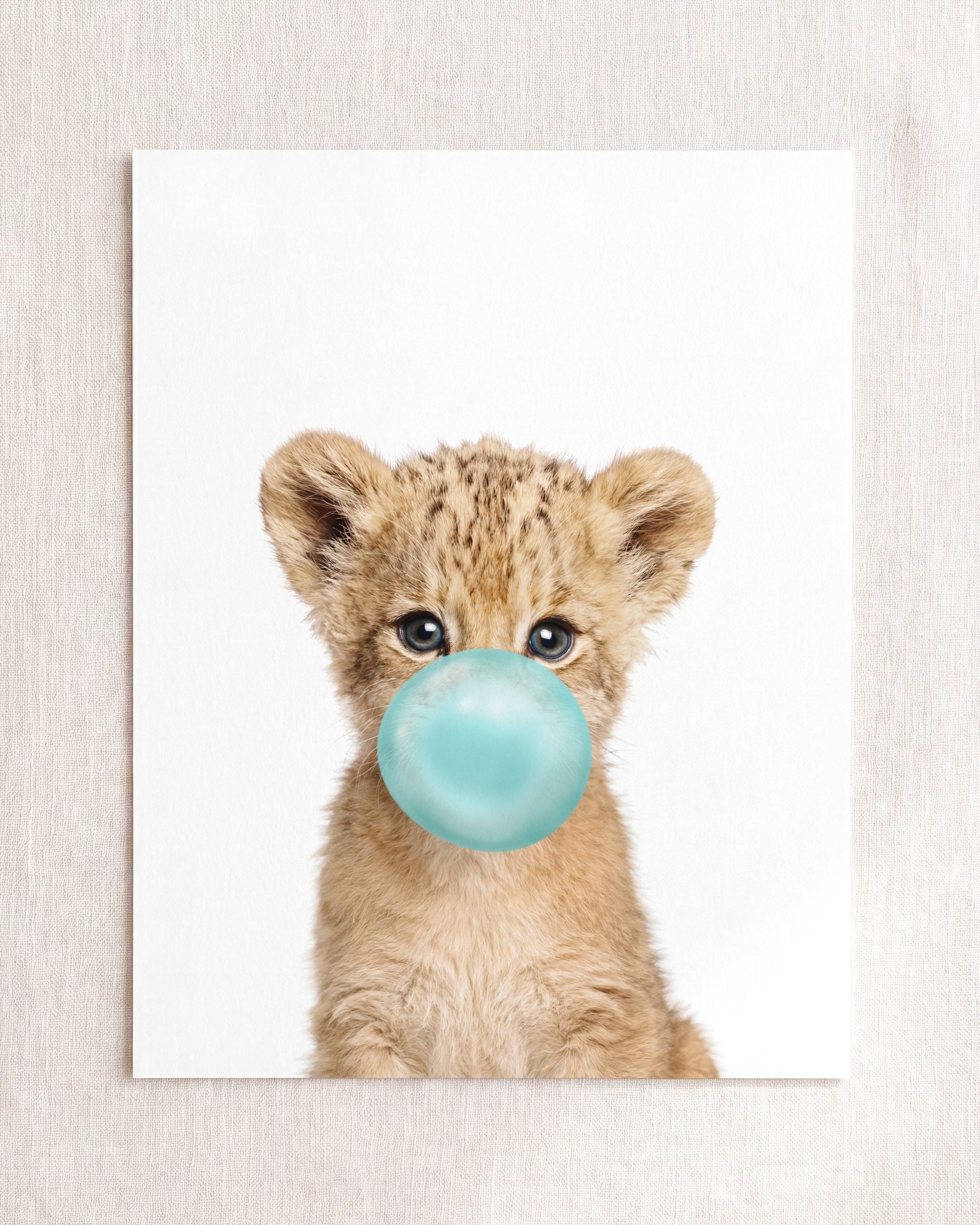 Baby Lion
