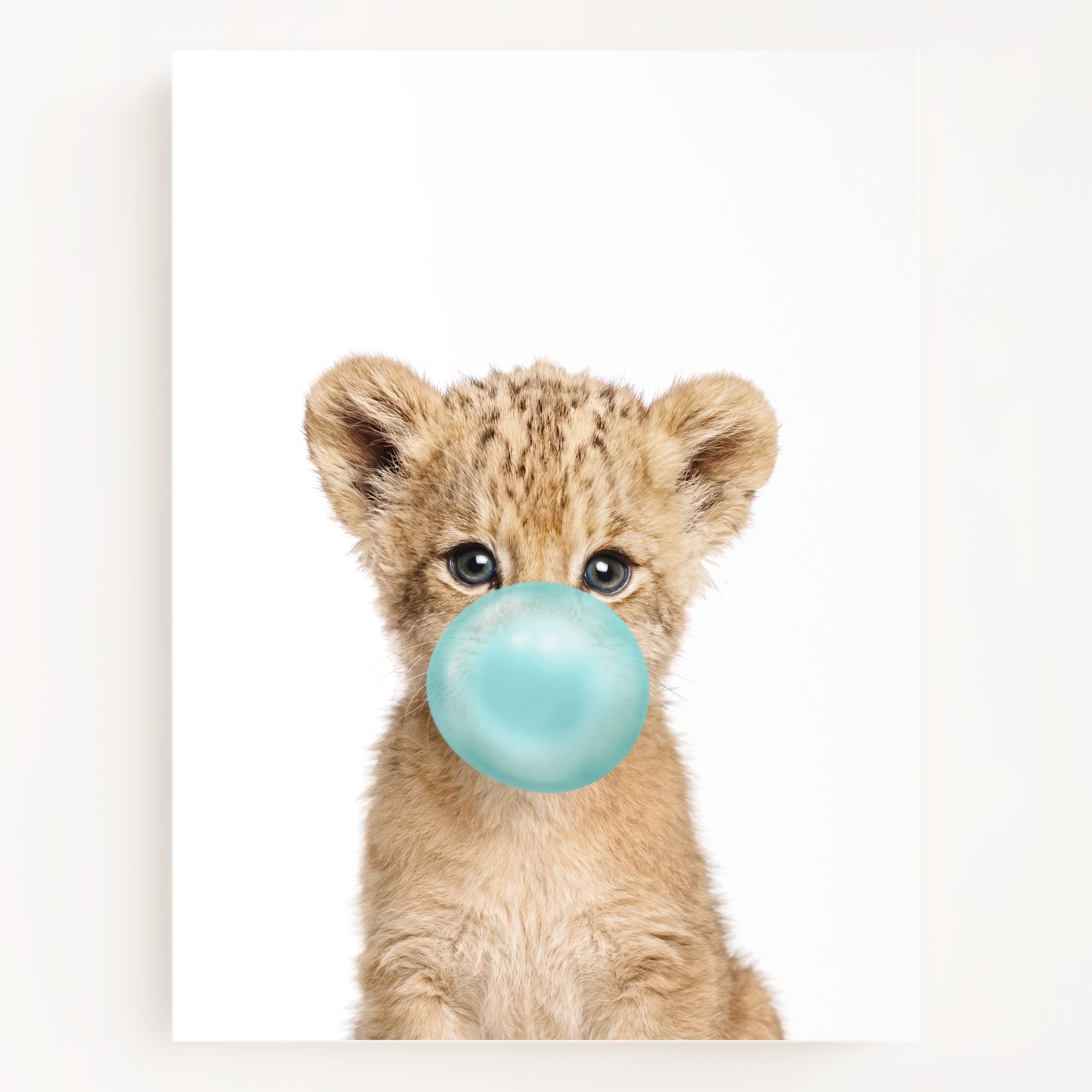 Baby Lion