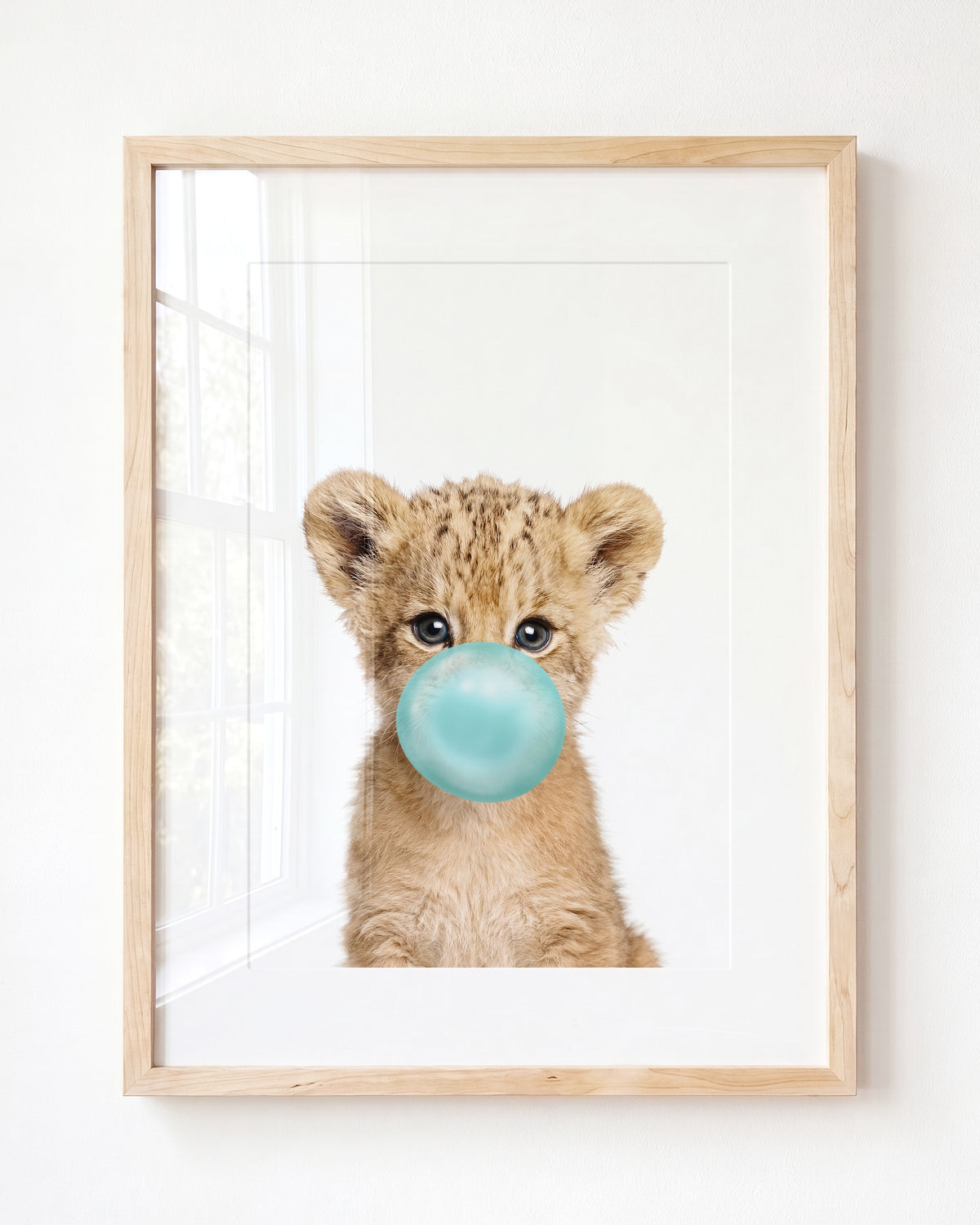 Baby Lion