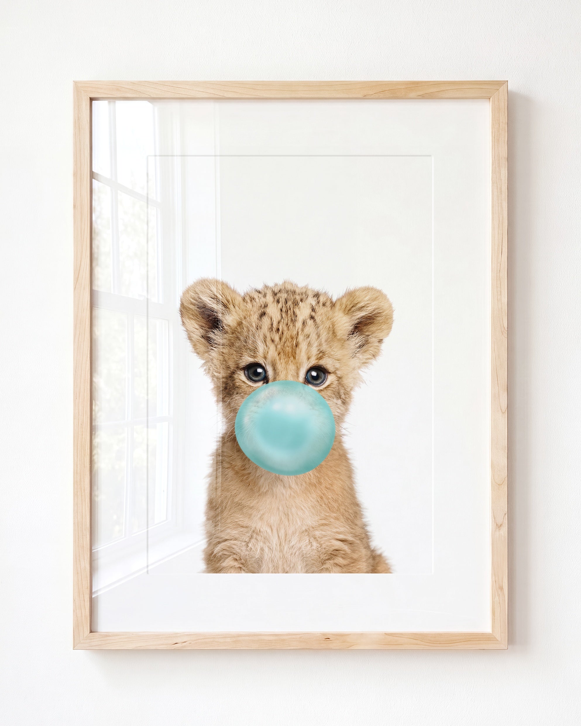 Baby Lion