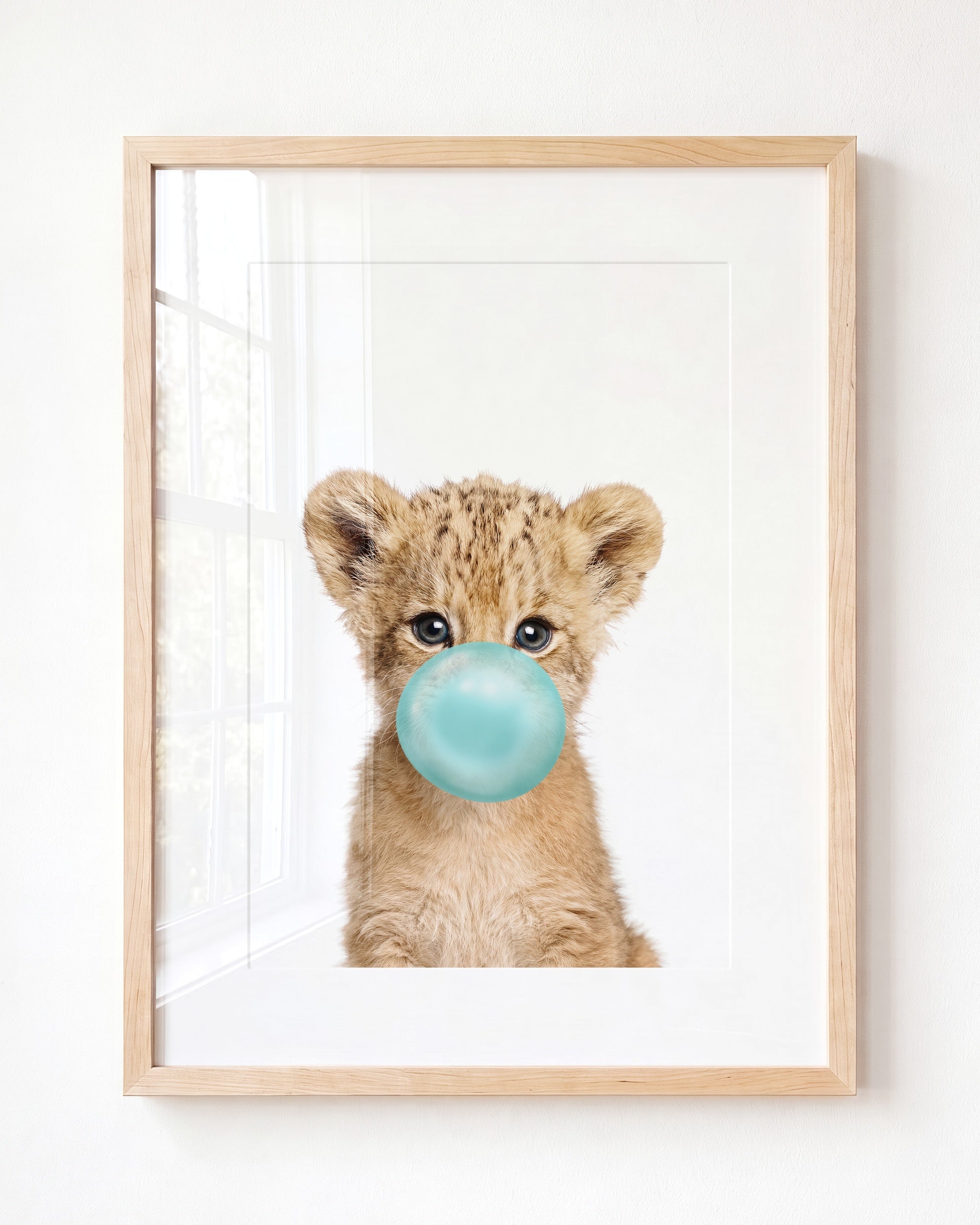 Baby Lion
