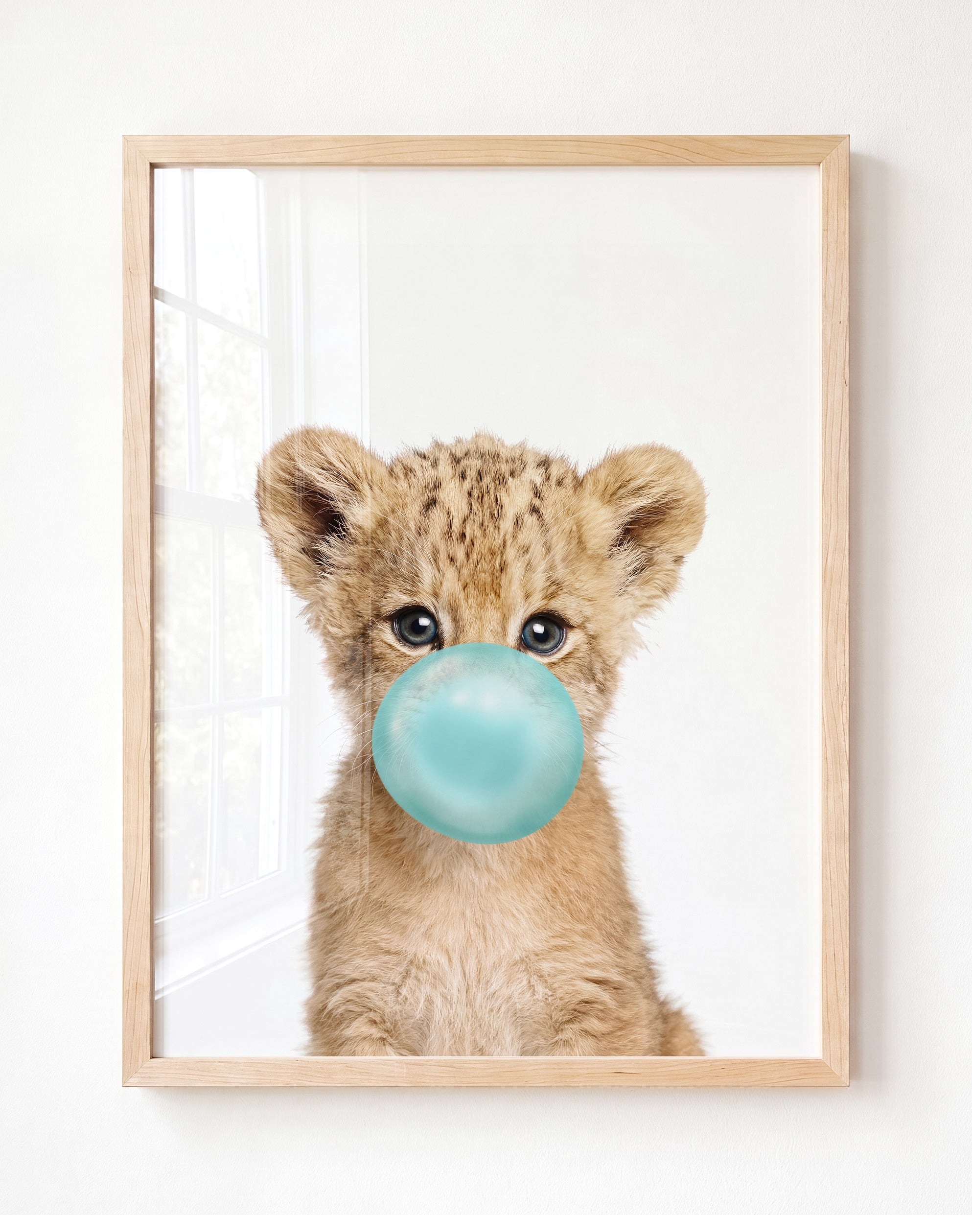 Baby Lion