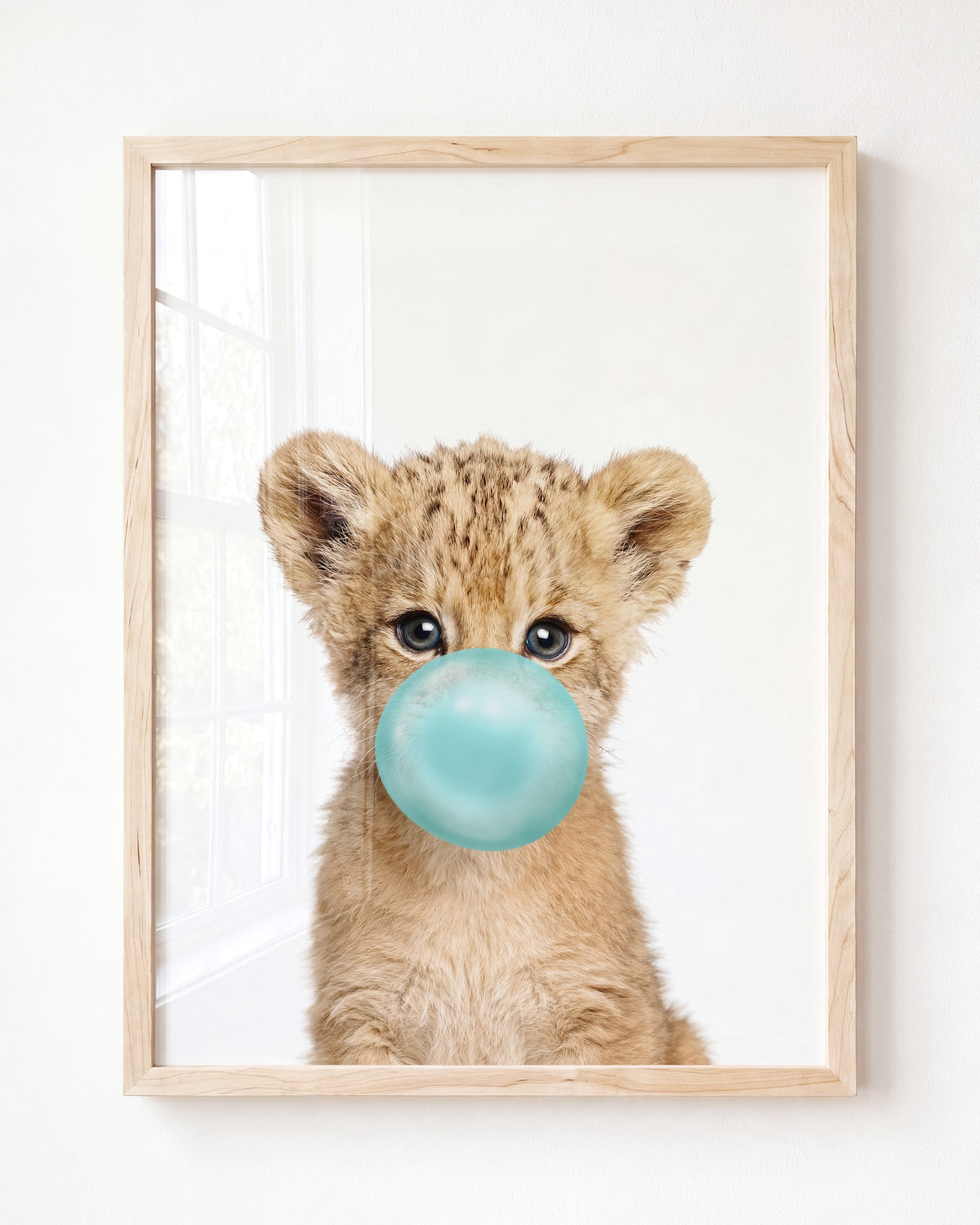 Baby Lion
