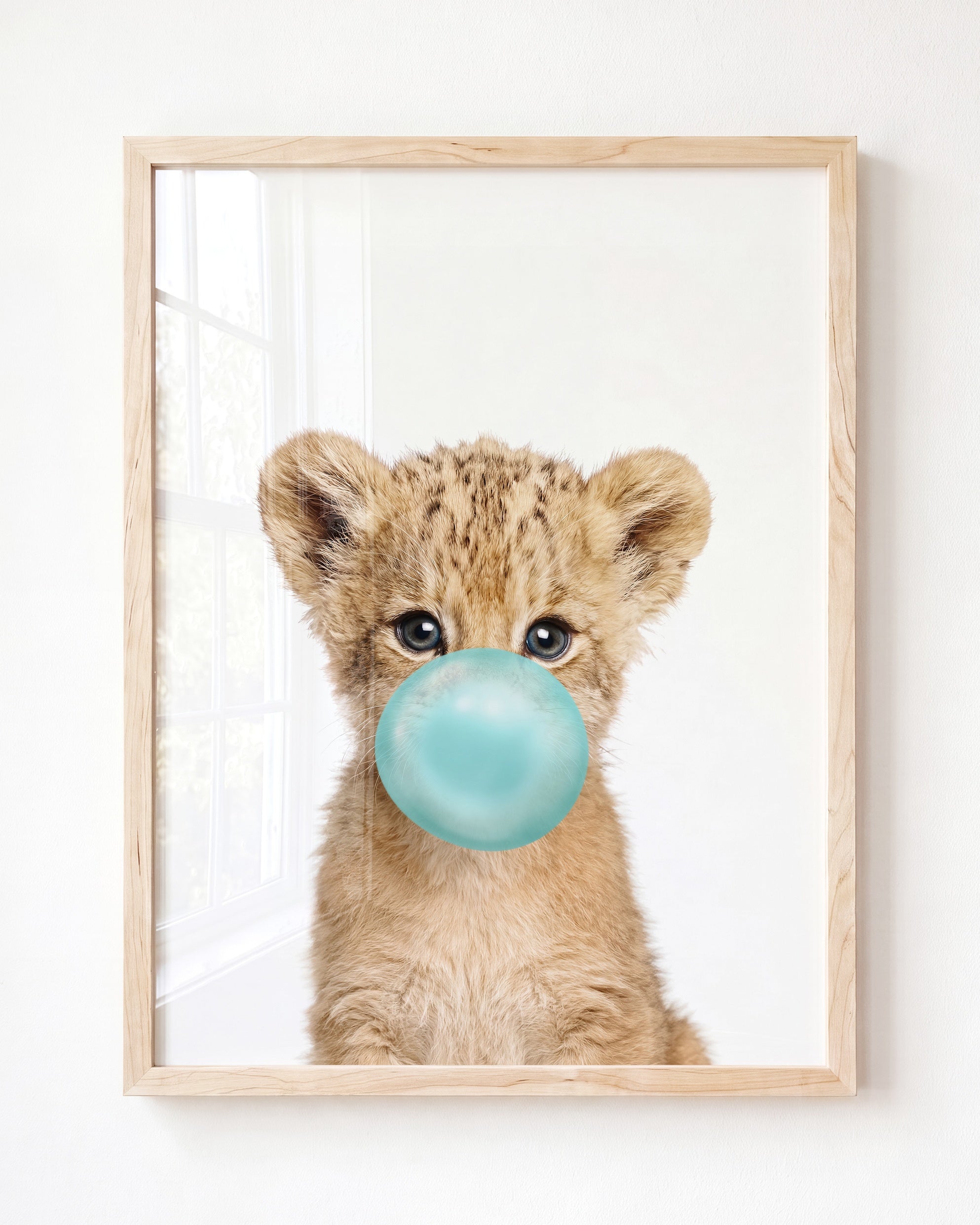 Baby Lion