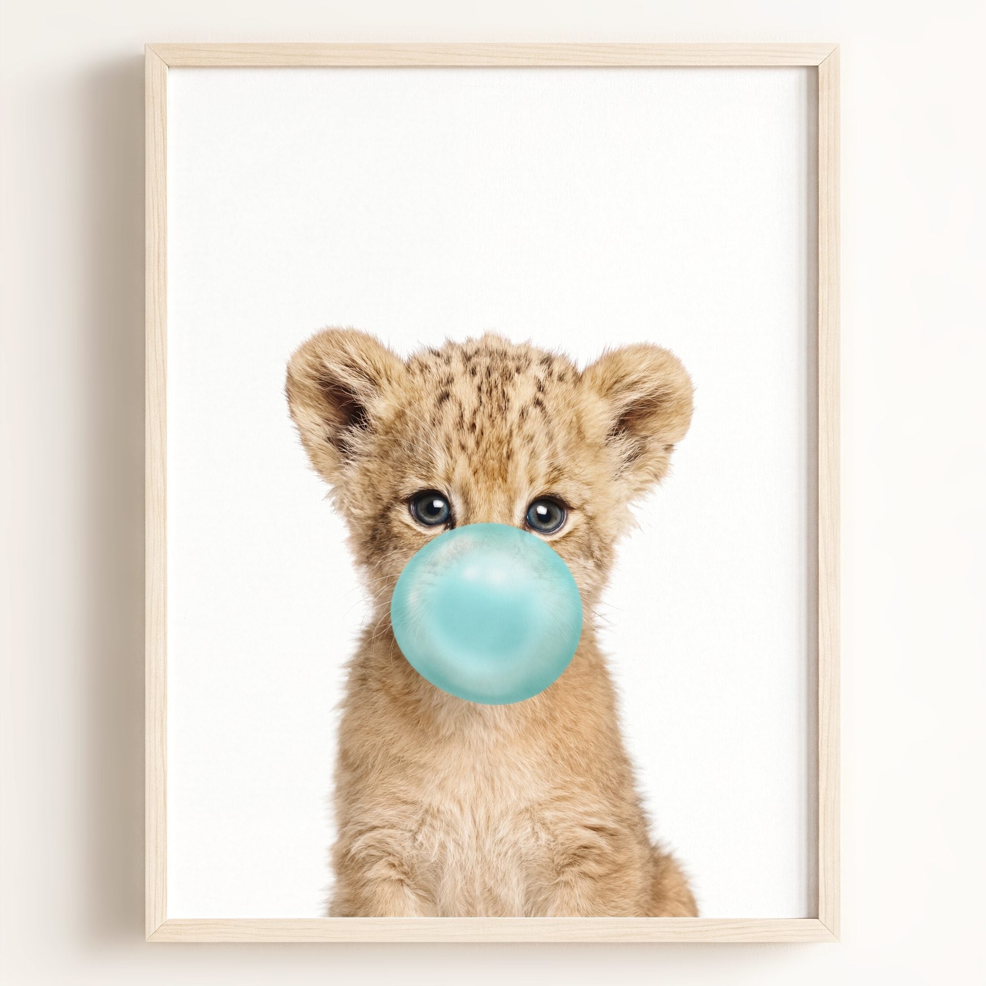 Baby Lion
