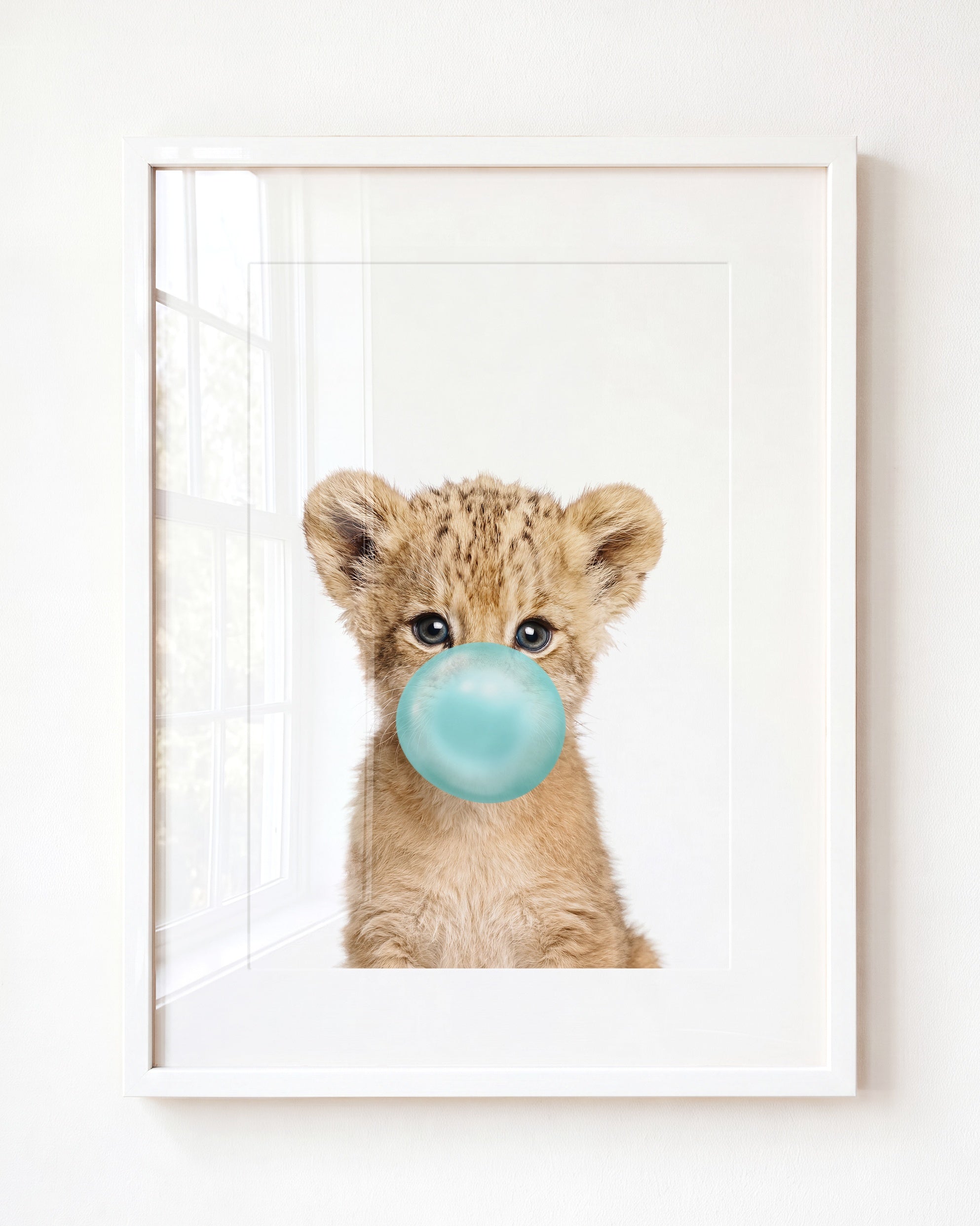Baby Lion