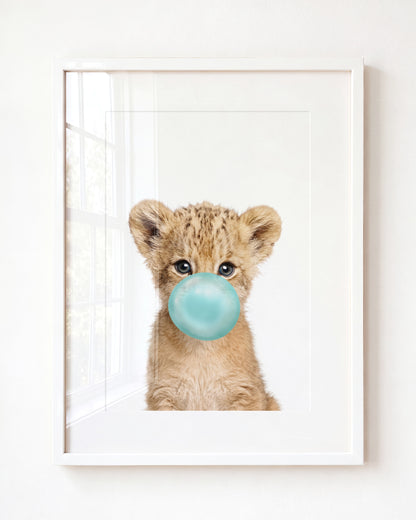 Baby Lion