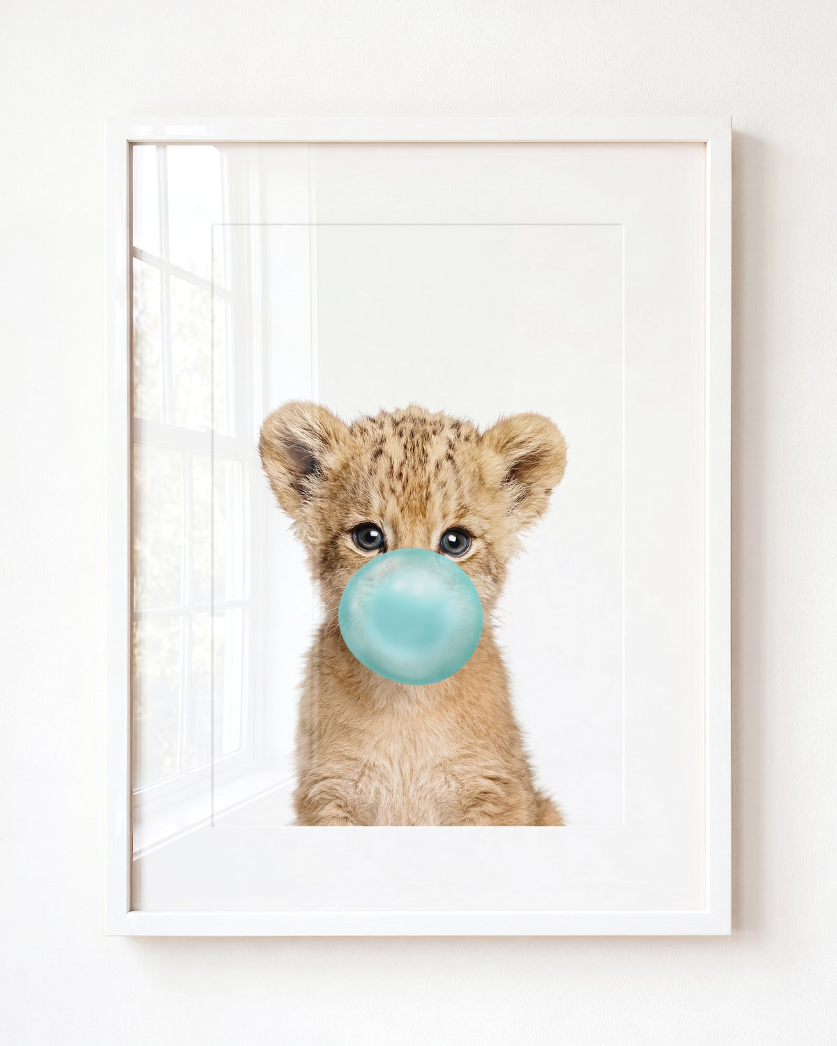 Baby Lion