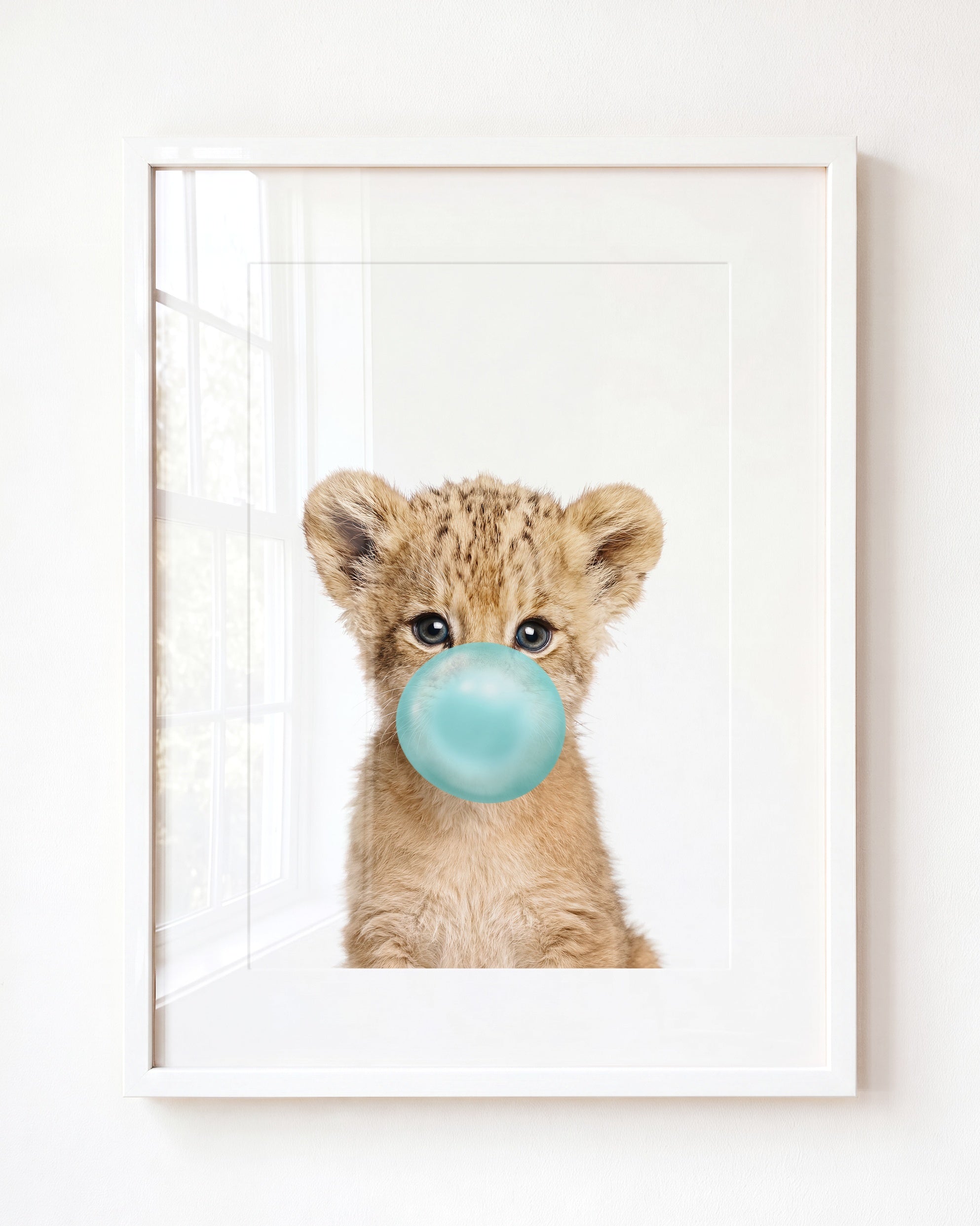 Baby Lion