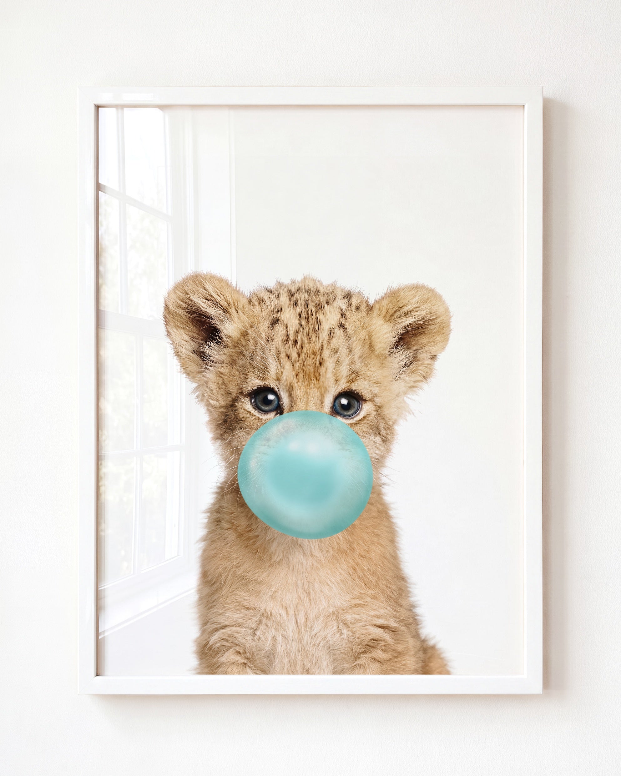Baby Lion