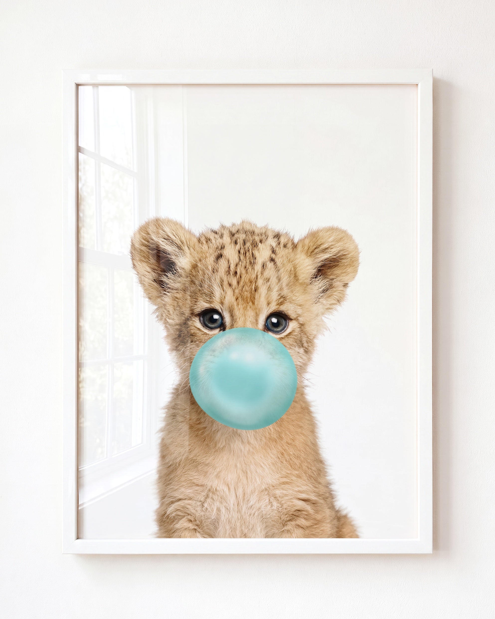 Baby Lion
