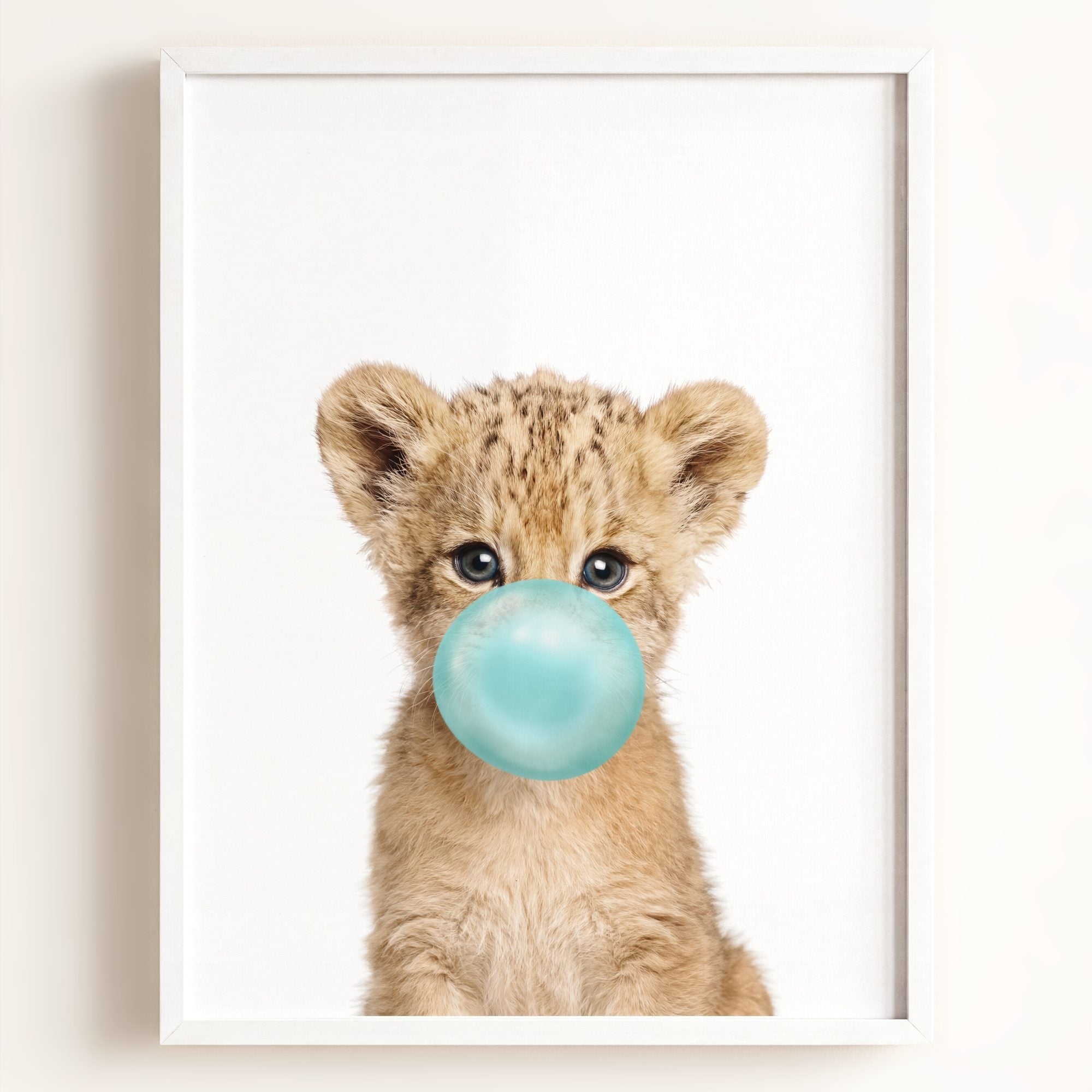 Baby Lion