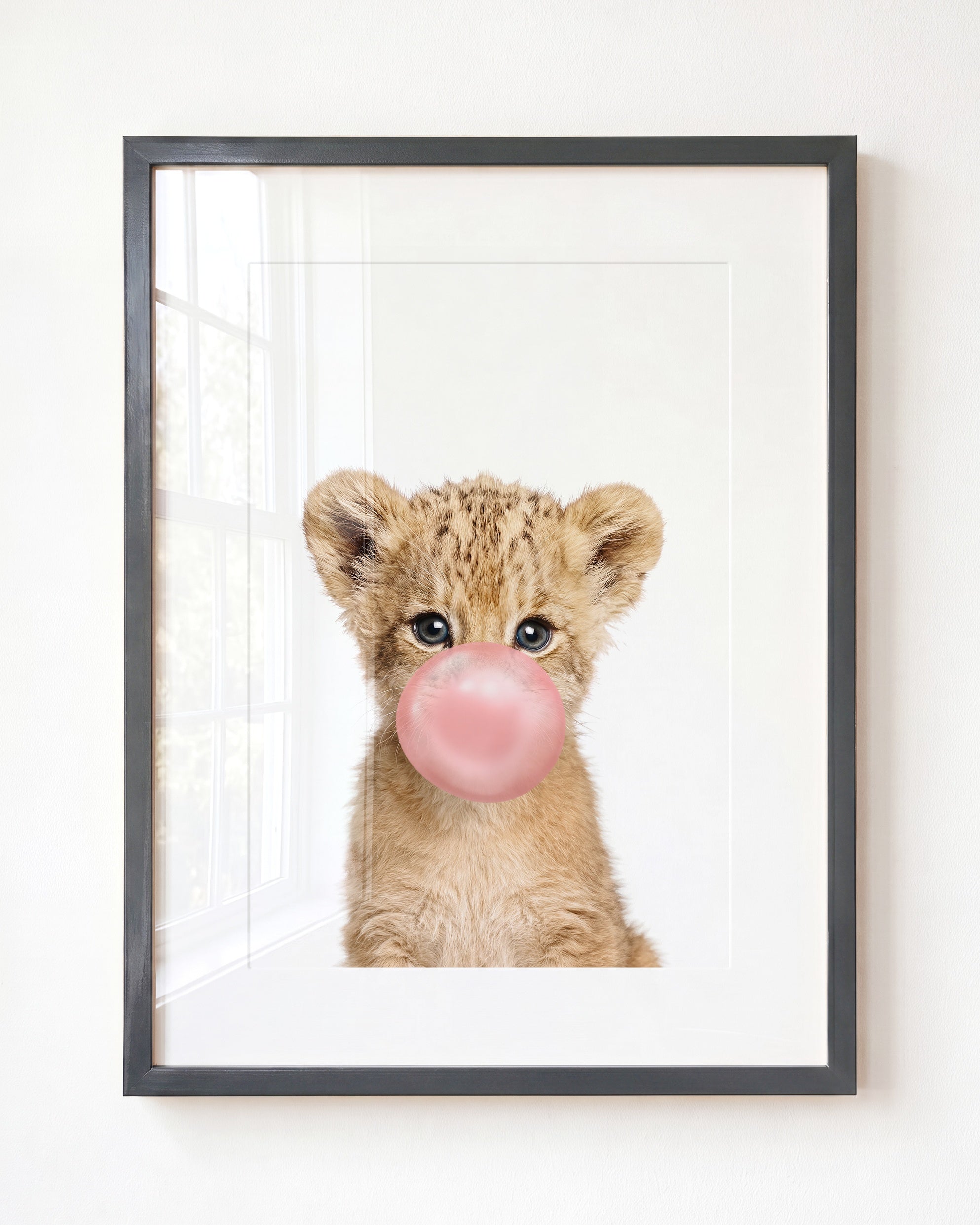 Baby Lion