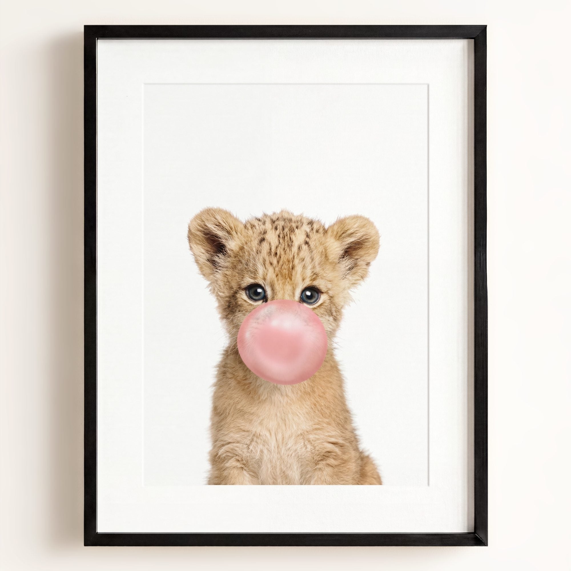 Baby Lion