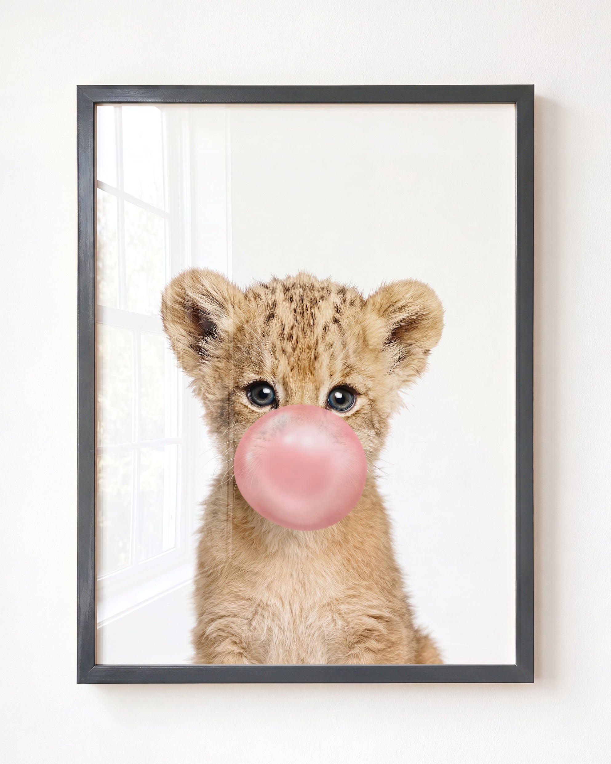 Baby Lion