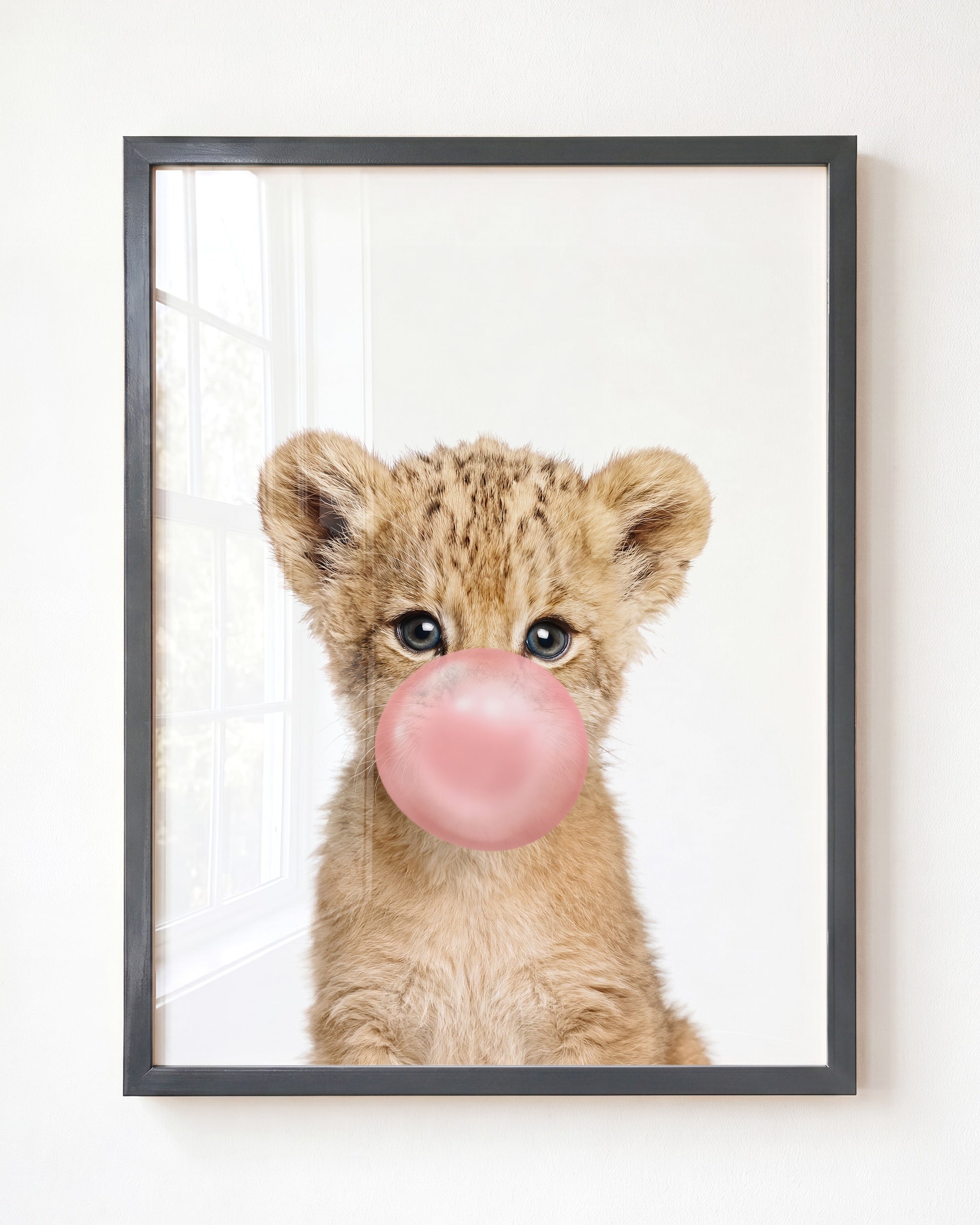 Baby Lion