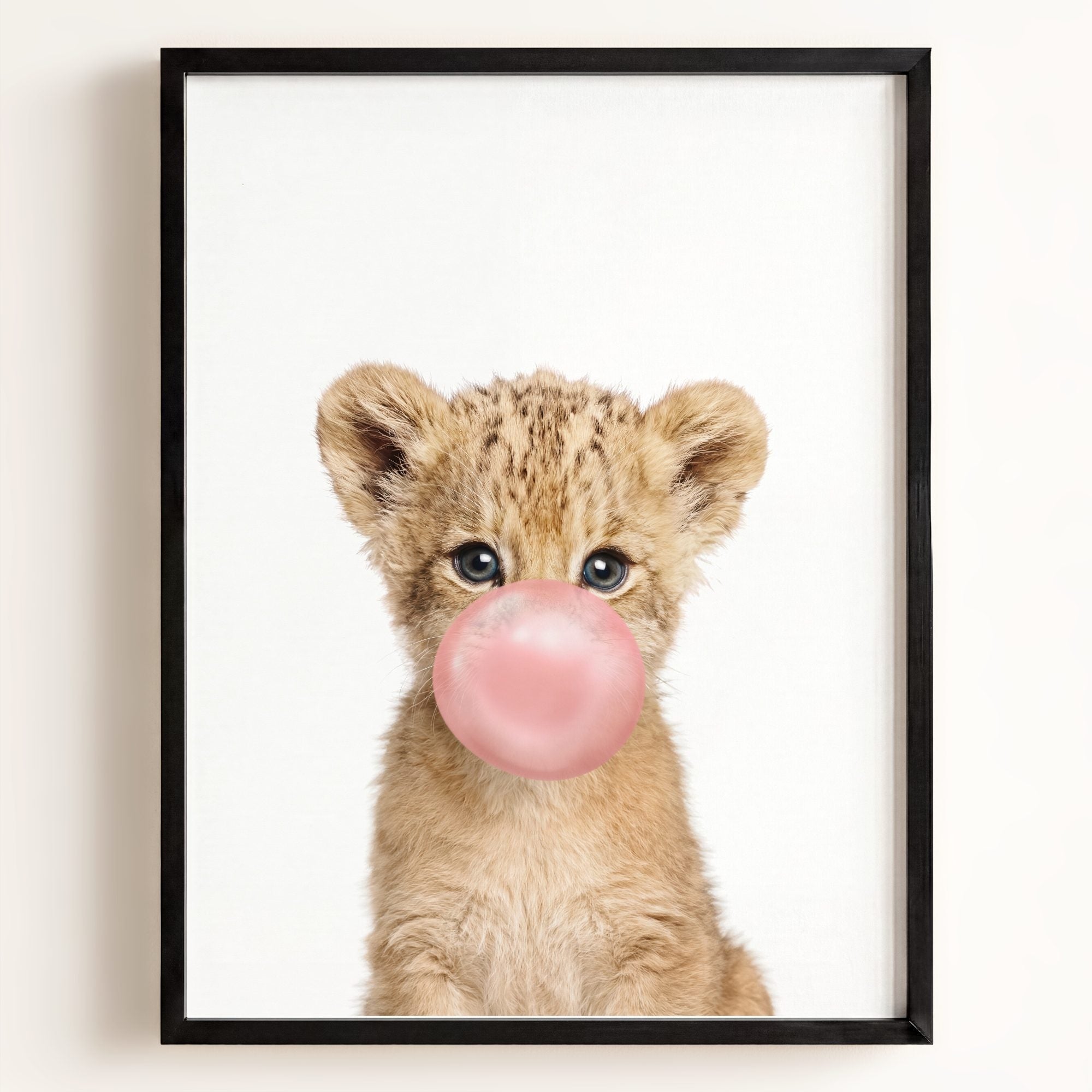 Baby Lion