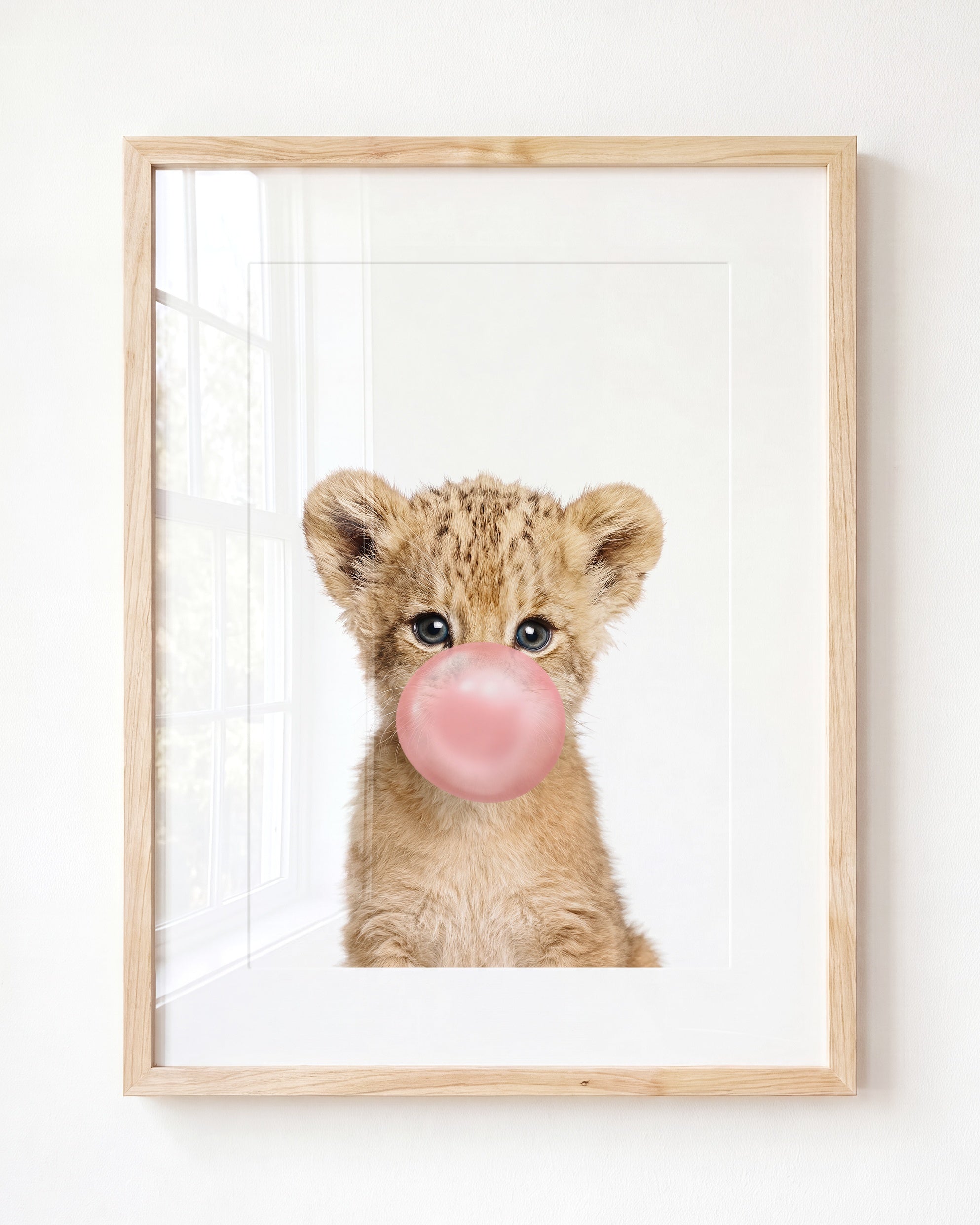 Baby Lion
