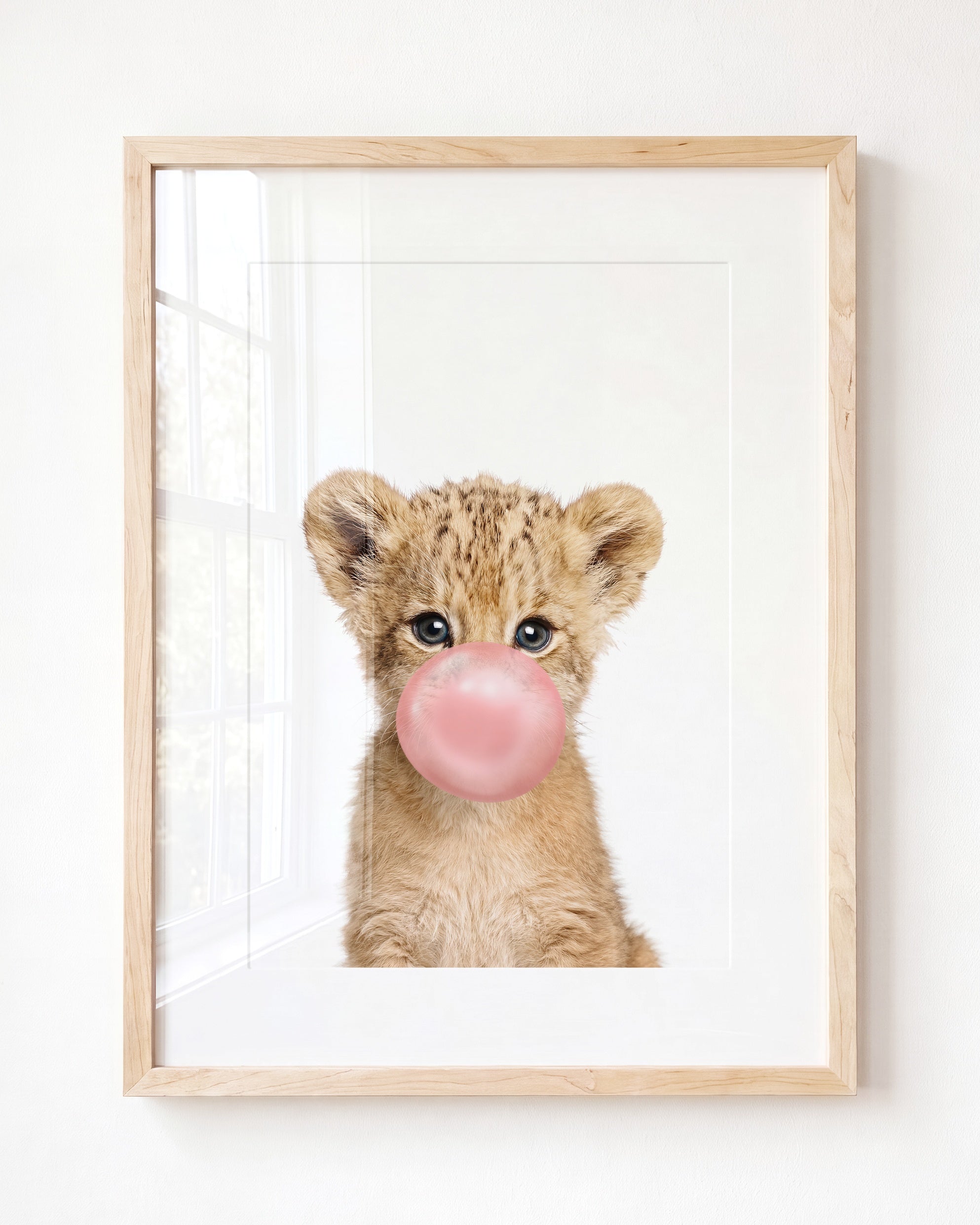 Baby Lion