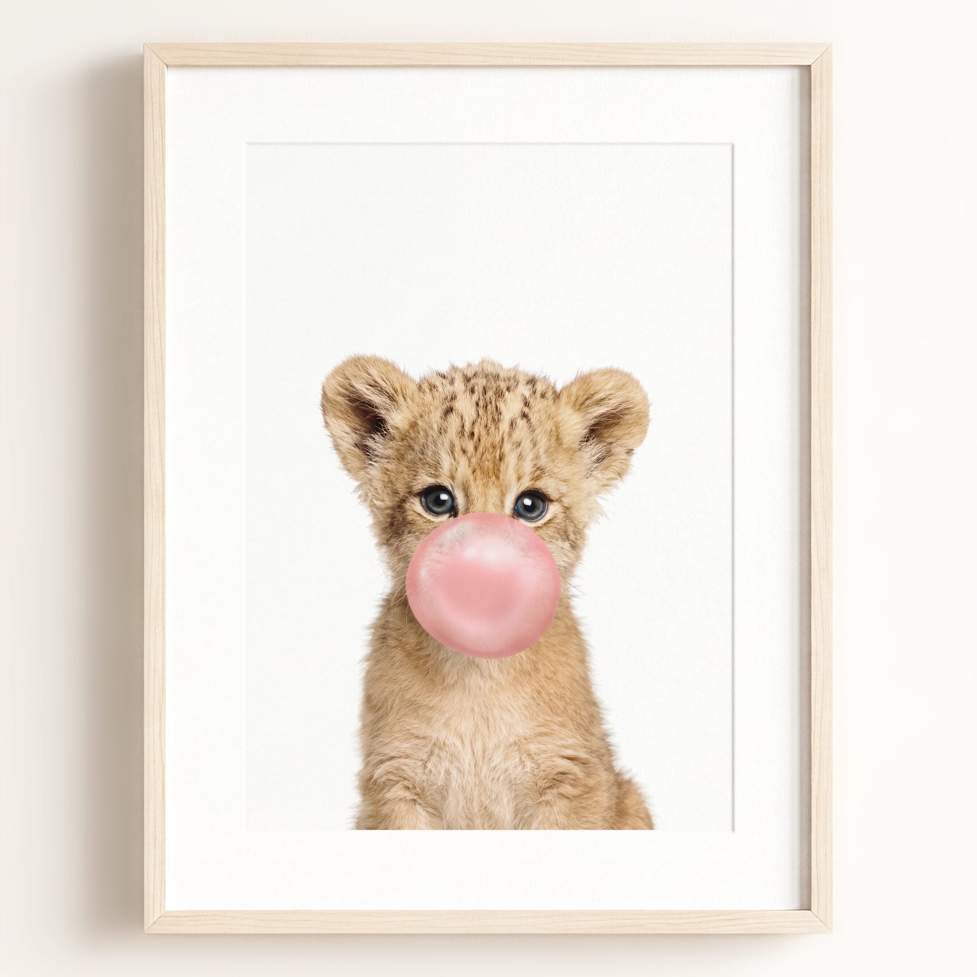 Baby Lion