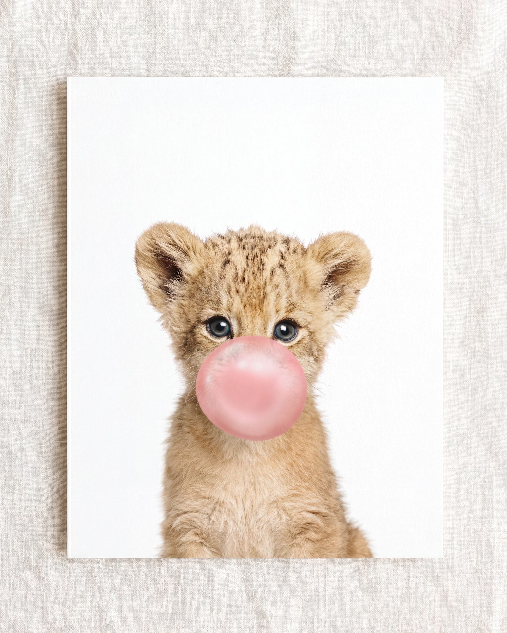 Baby Lion