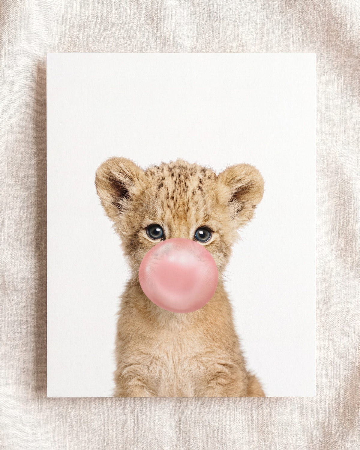 Baby Lion