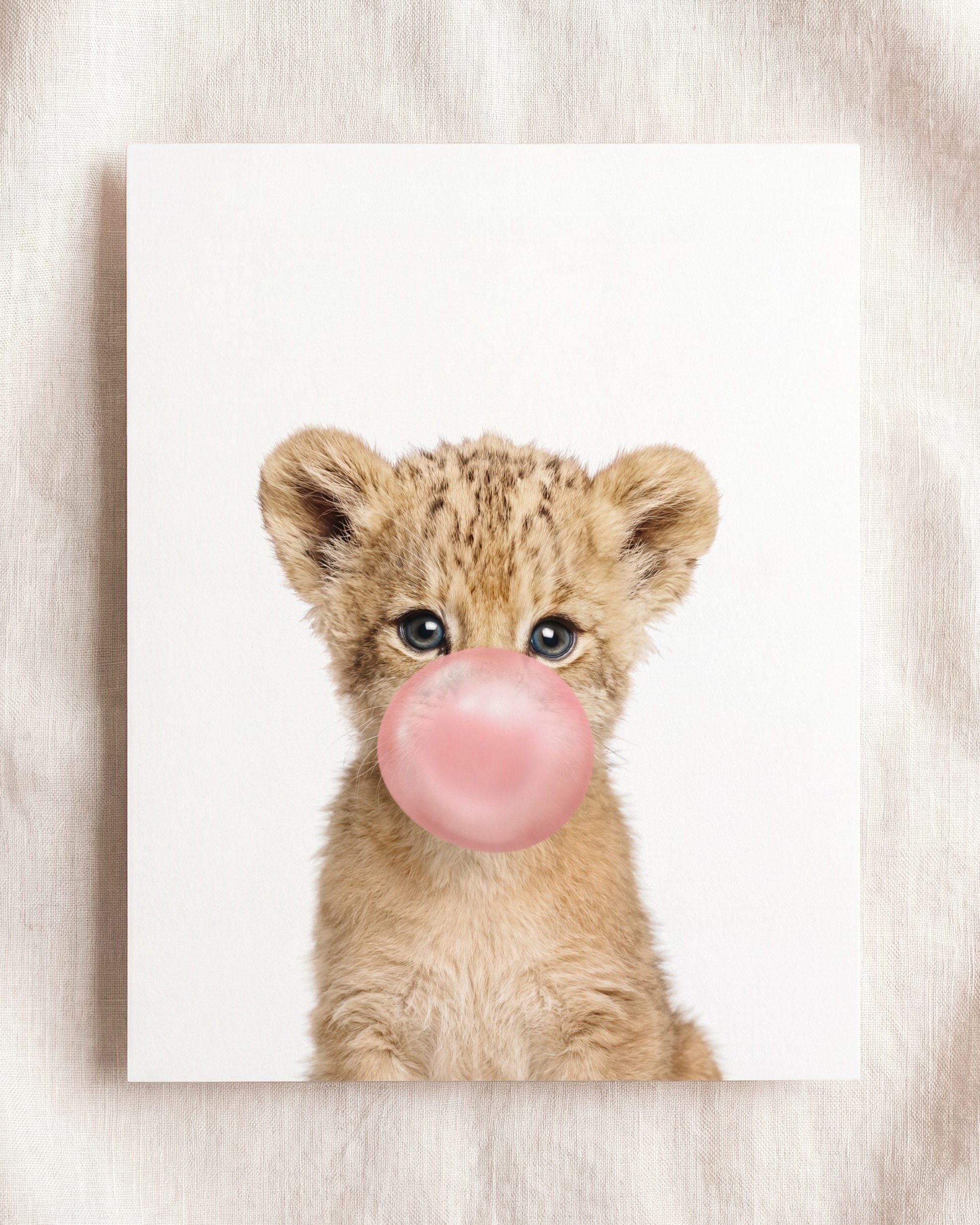 Baby Lion