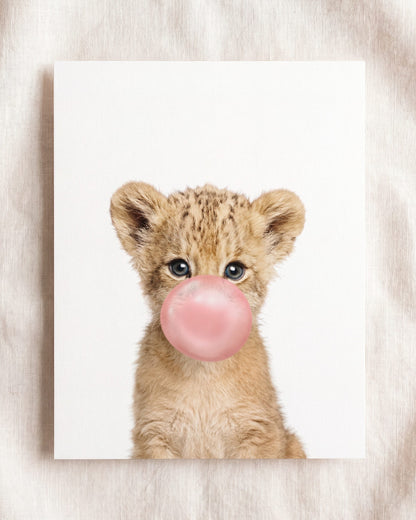 Baby Lion