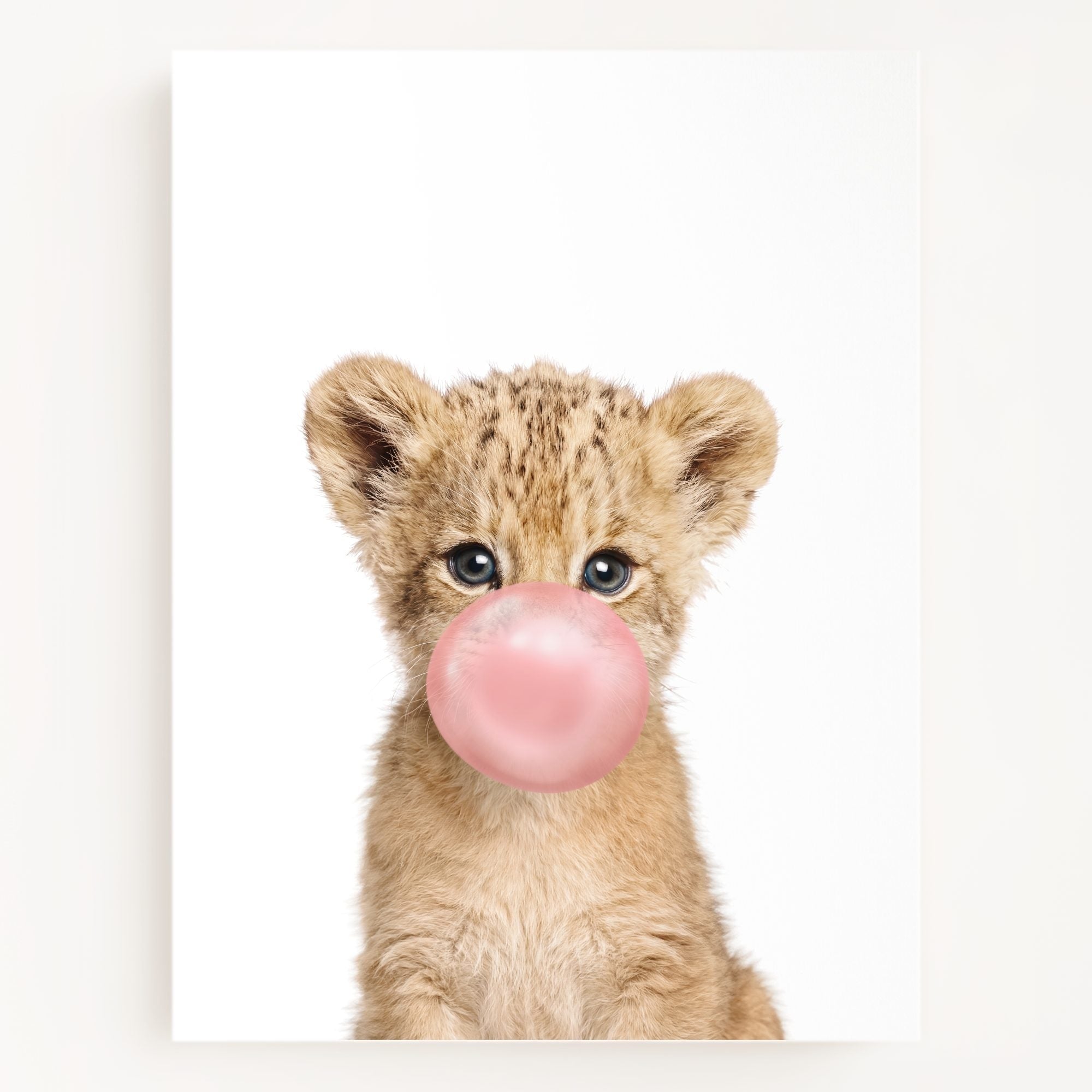 Baby Lion