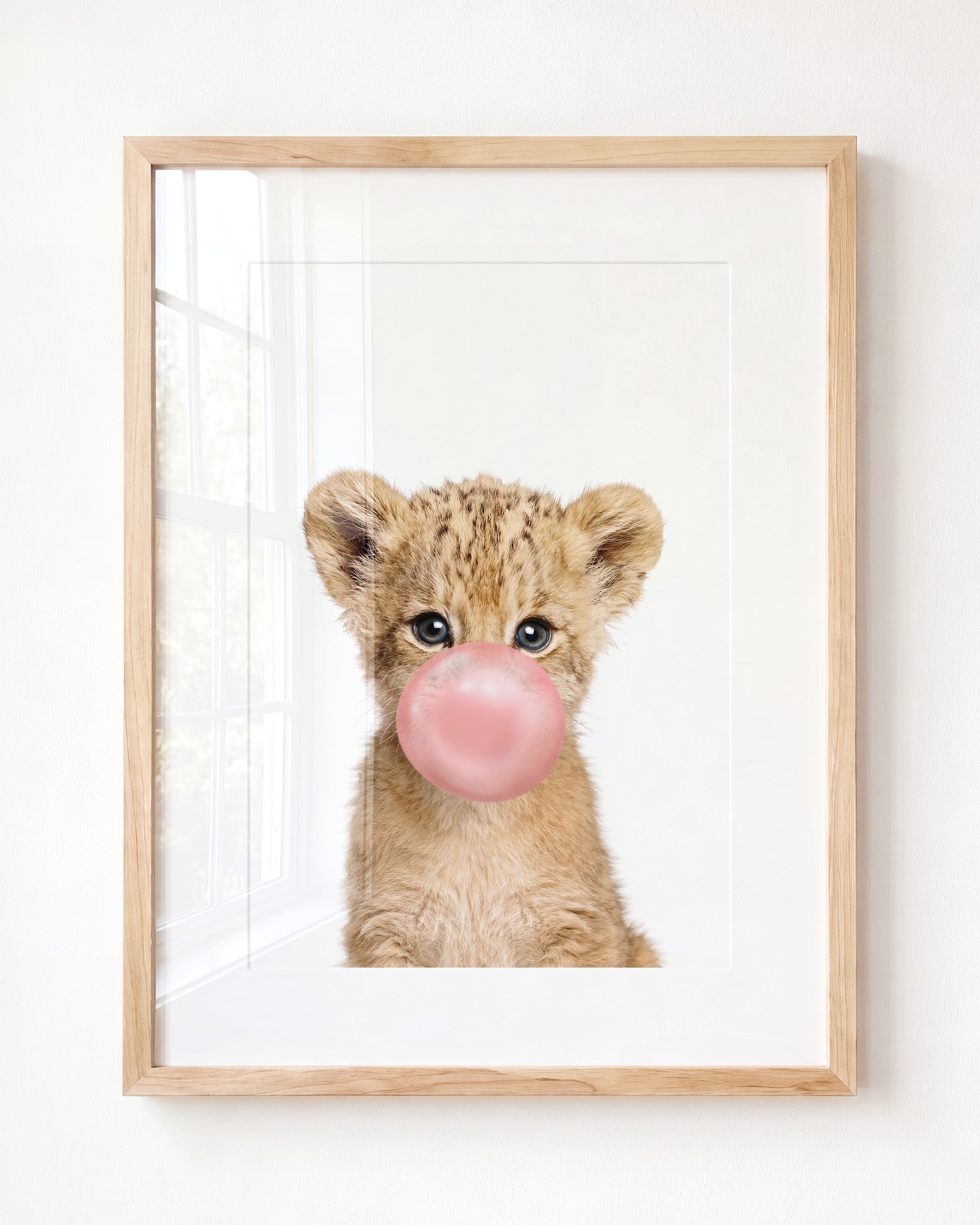 Baby Lion
