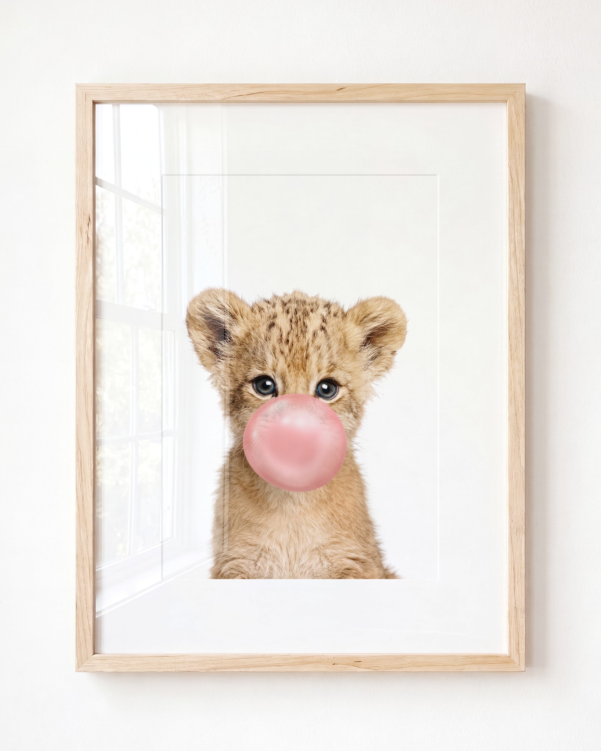 Baby Lion