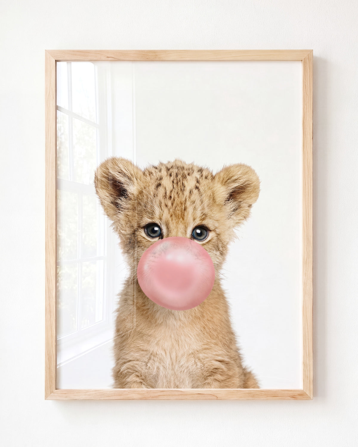 Baby Lion