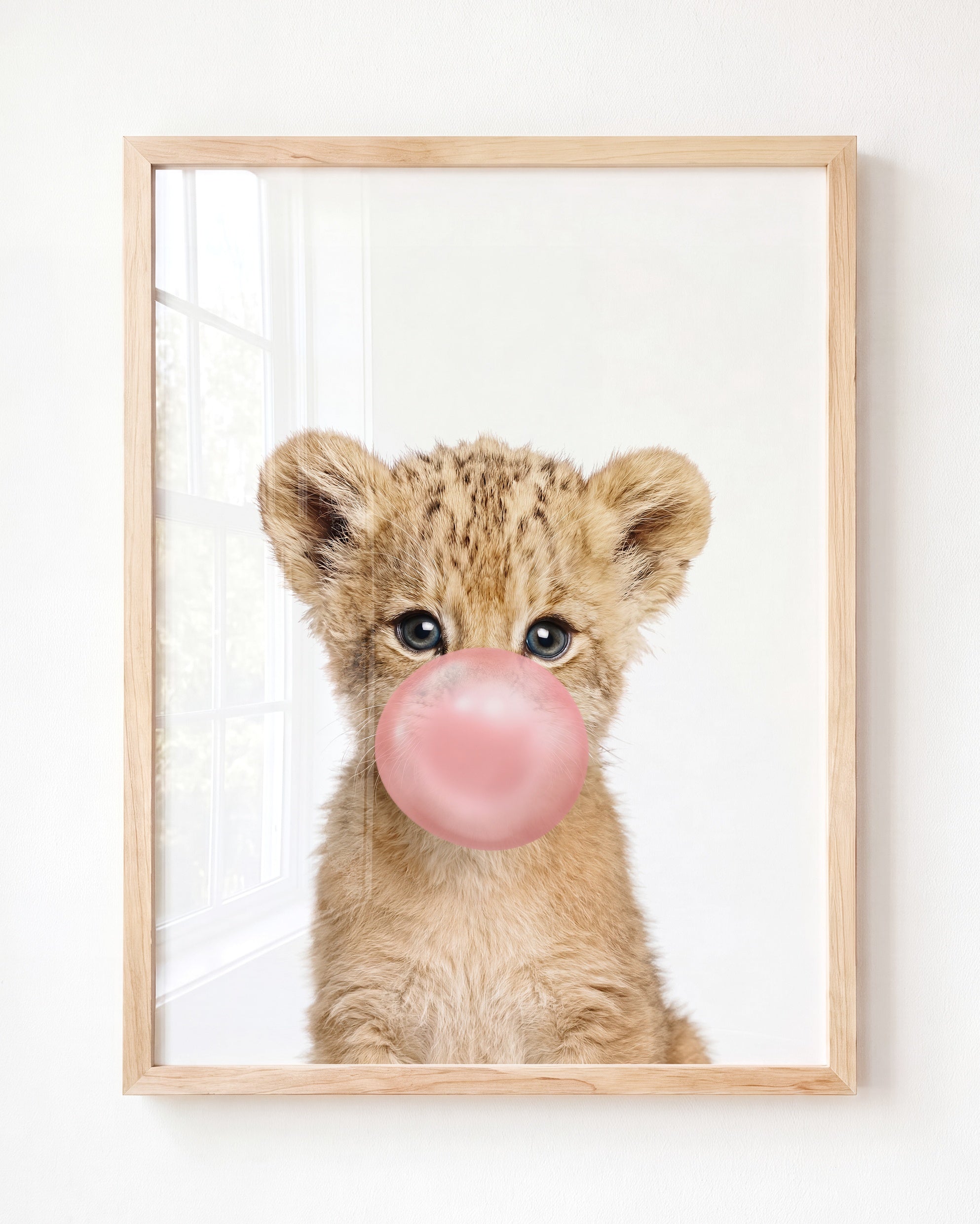 Baby Lion