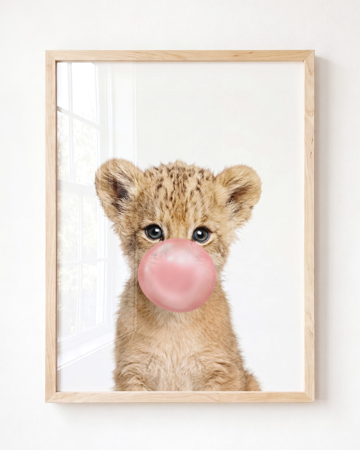 Baby Lion