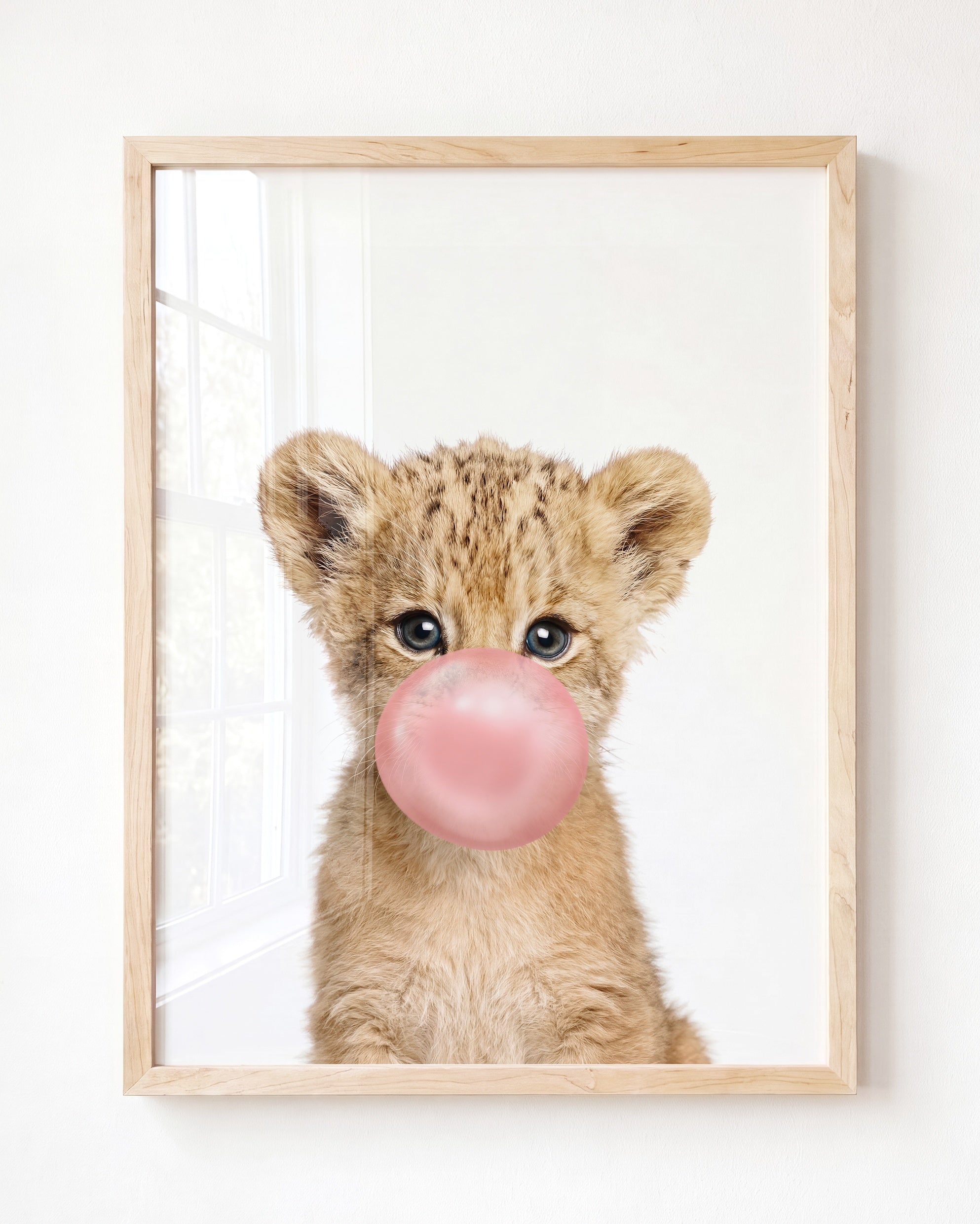 Baby Lion
