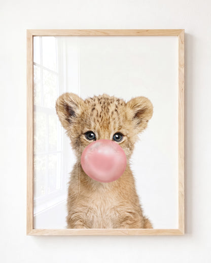 Baby Lion